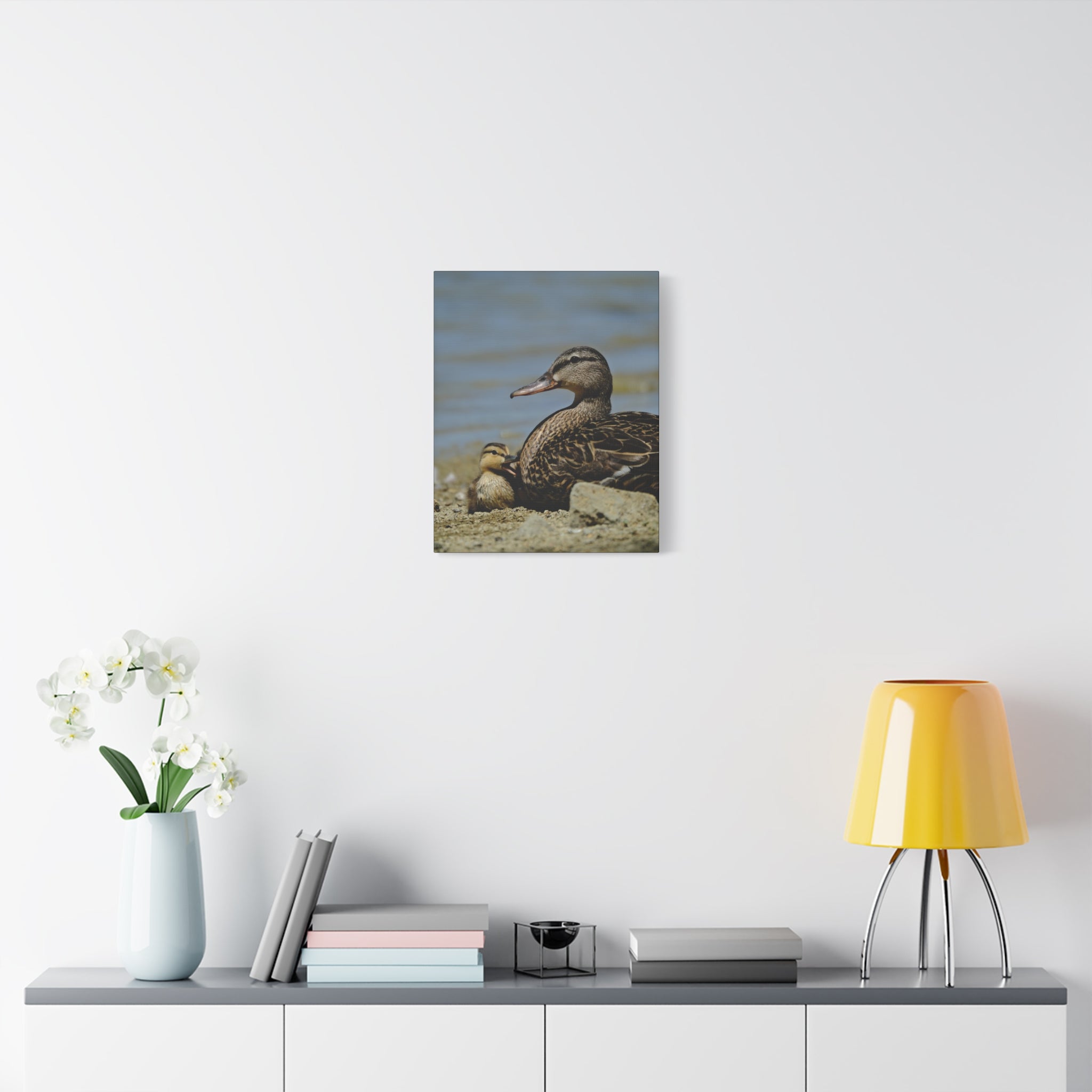 Duck and Duckling Canvas Print — Mother & Baby Wildlife Wall Art
