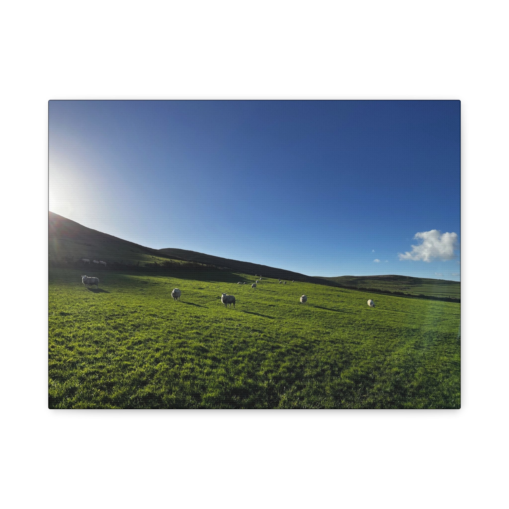 Irish sheep Pasture Canvas Print — Sheep Landscape Matte Stretched Wall Art