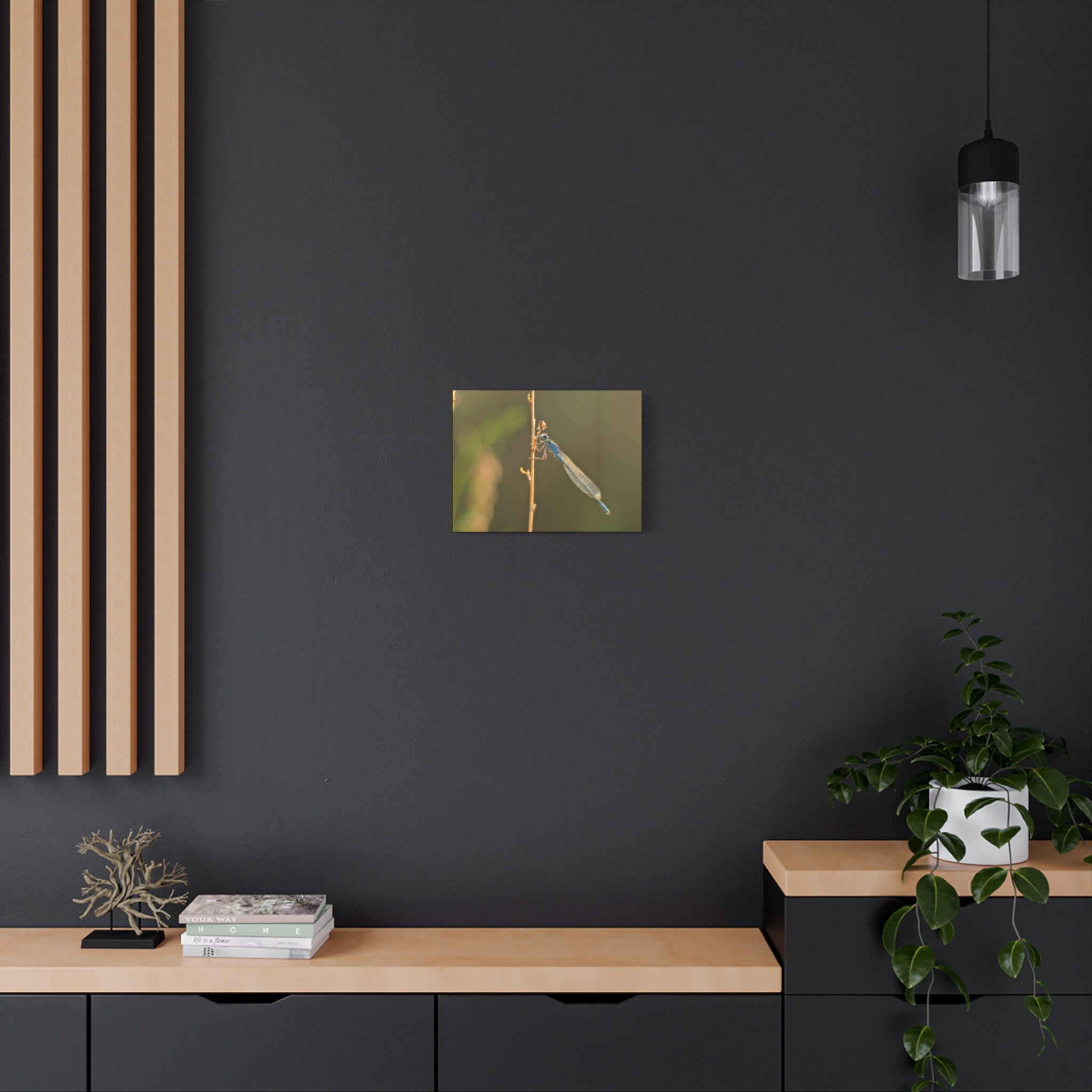 Blue Dragonfly Macro Canvas Print — Blue Damselfly Nature Wall Art, Matte Stretched 1.25"