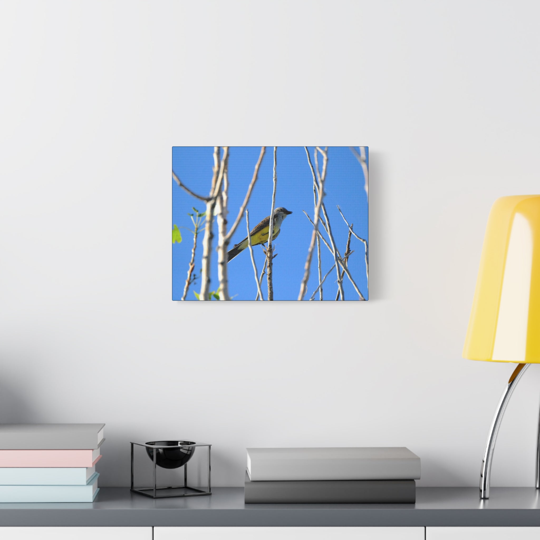 Western King Bird Horizontal Matte Canvas, Stretched, 1.25"