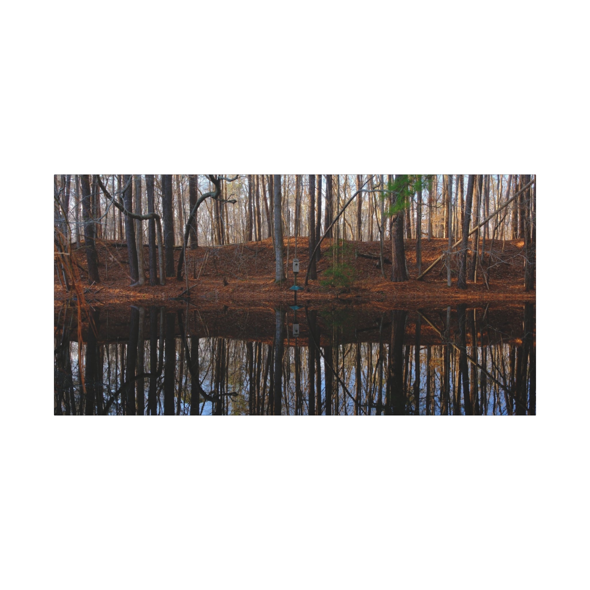 Woodland Reflection Matte Canvas Art – Stretched 1.25" Wall Decor