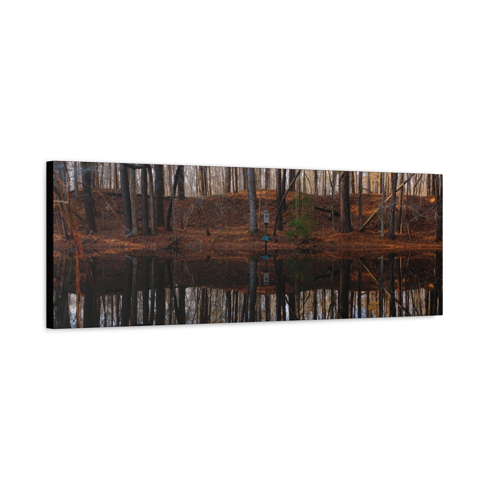 Woodland Reflection Matte Canvas Art – Stretched 1.25" Wall Decor