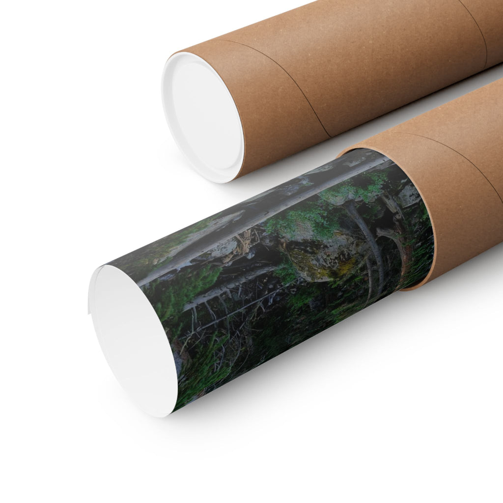 Mountain Stream Forest Matte Poster — Vertical Nature Wall Art