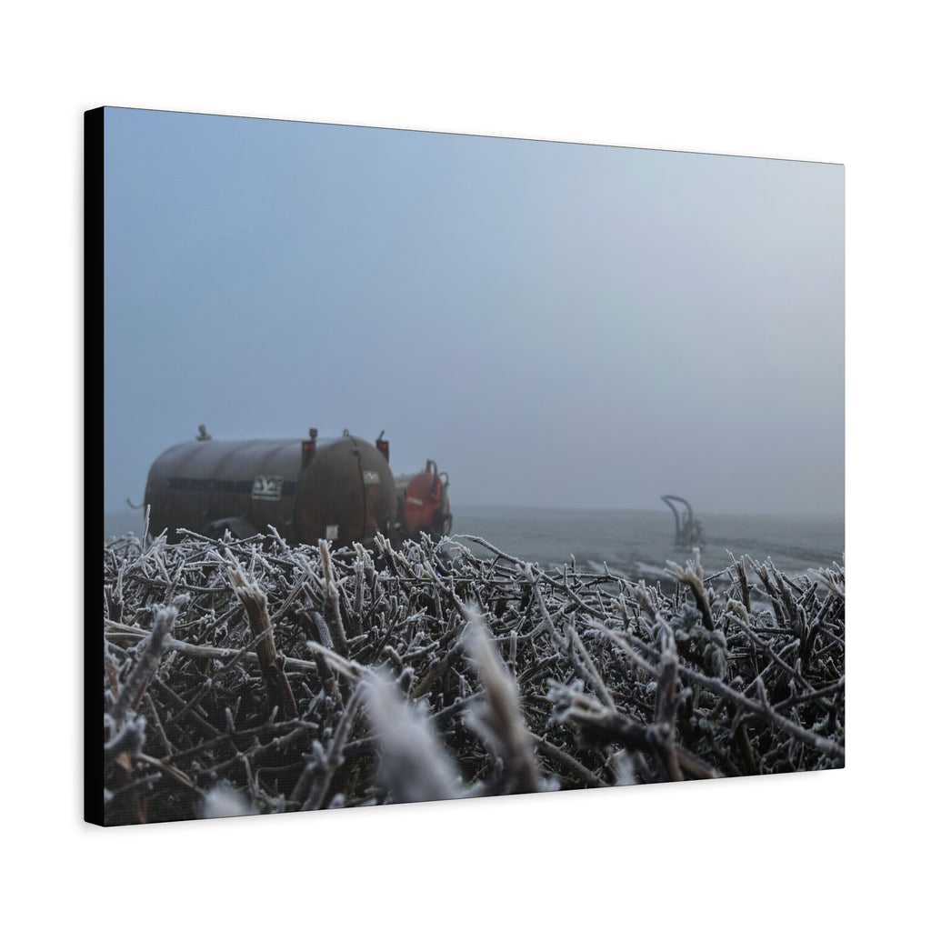 Irish Frost Farm Canvas Print — Foggy Shoreline with Frosted Driftwood