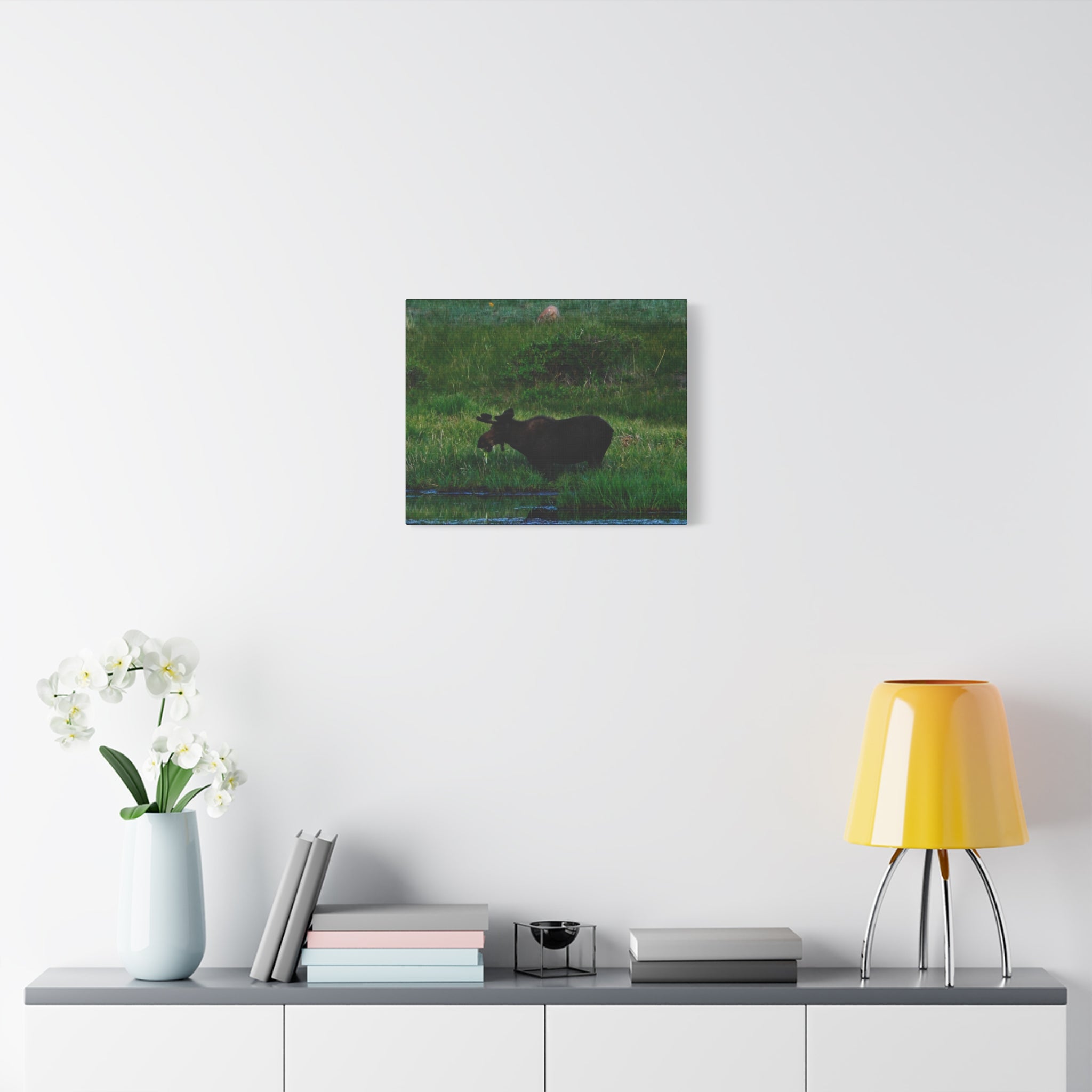Munching Moose Matte Canvas Print — Stretched Wildlife Wall Art