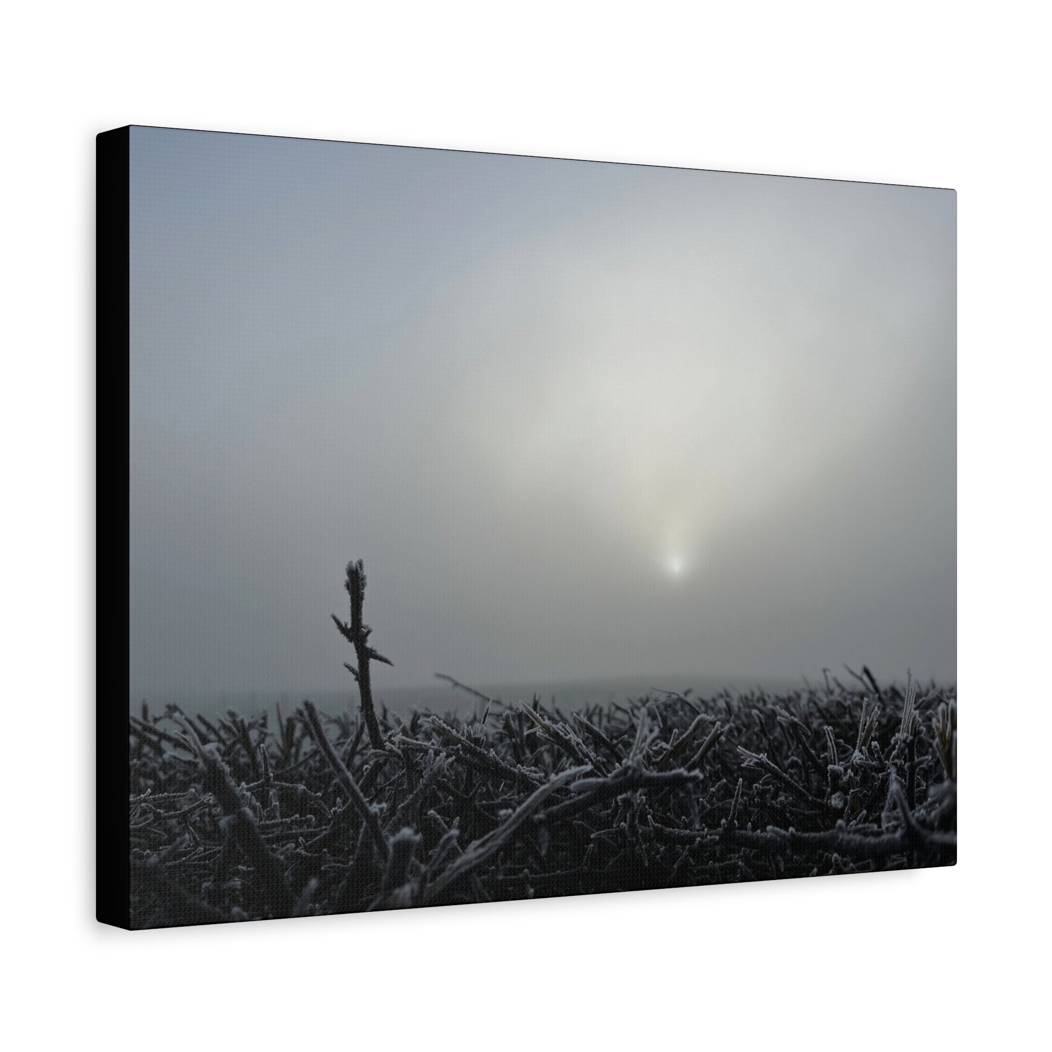 Foggy Sunrise Matte Canvas Wall Art – Moody Winter Landscape