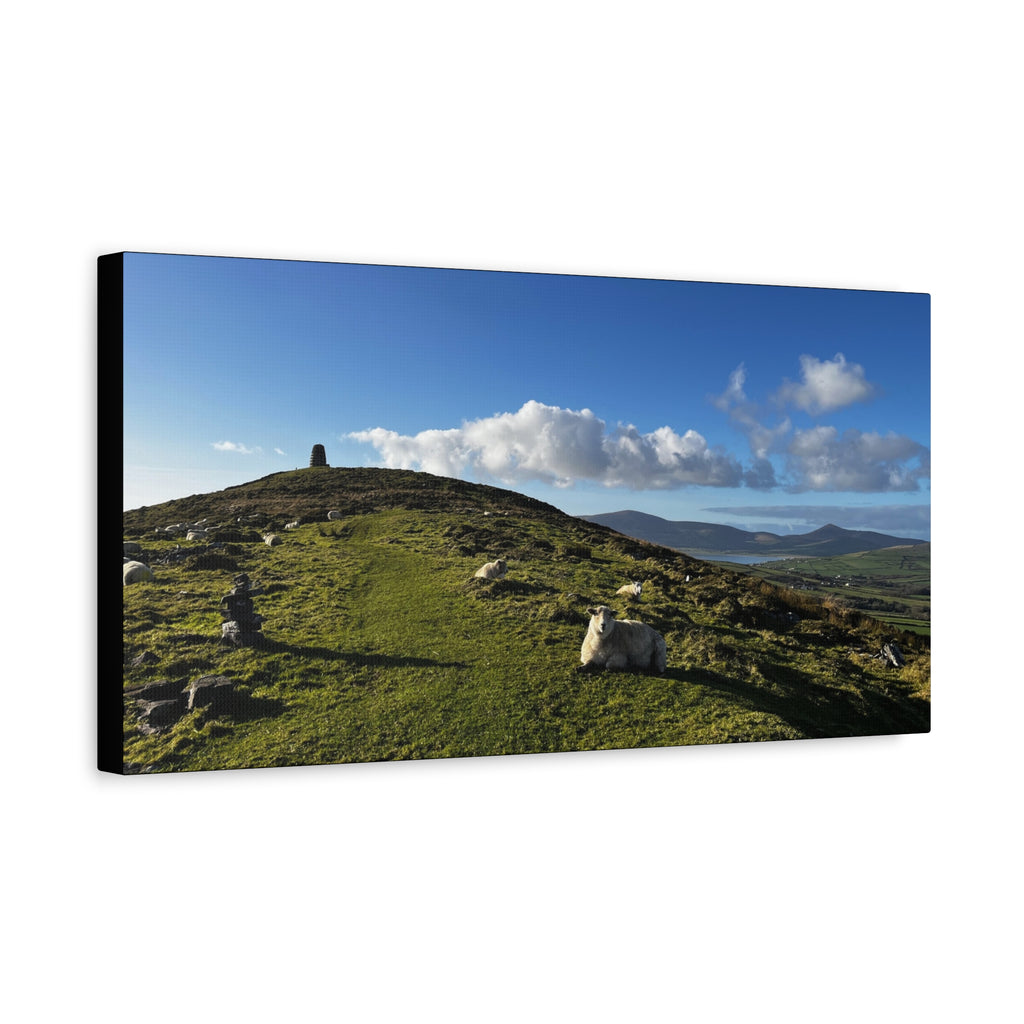 Sheep Lookout Canvas Print – Rolling Green Hills with Blue Sky