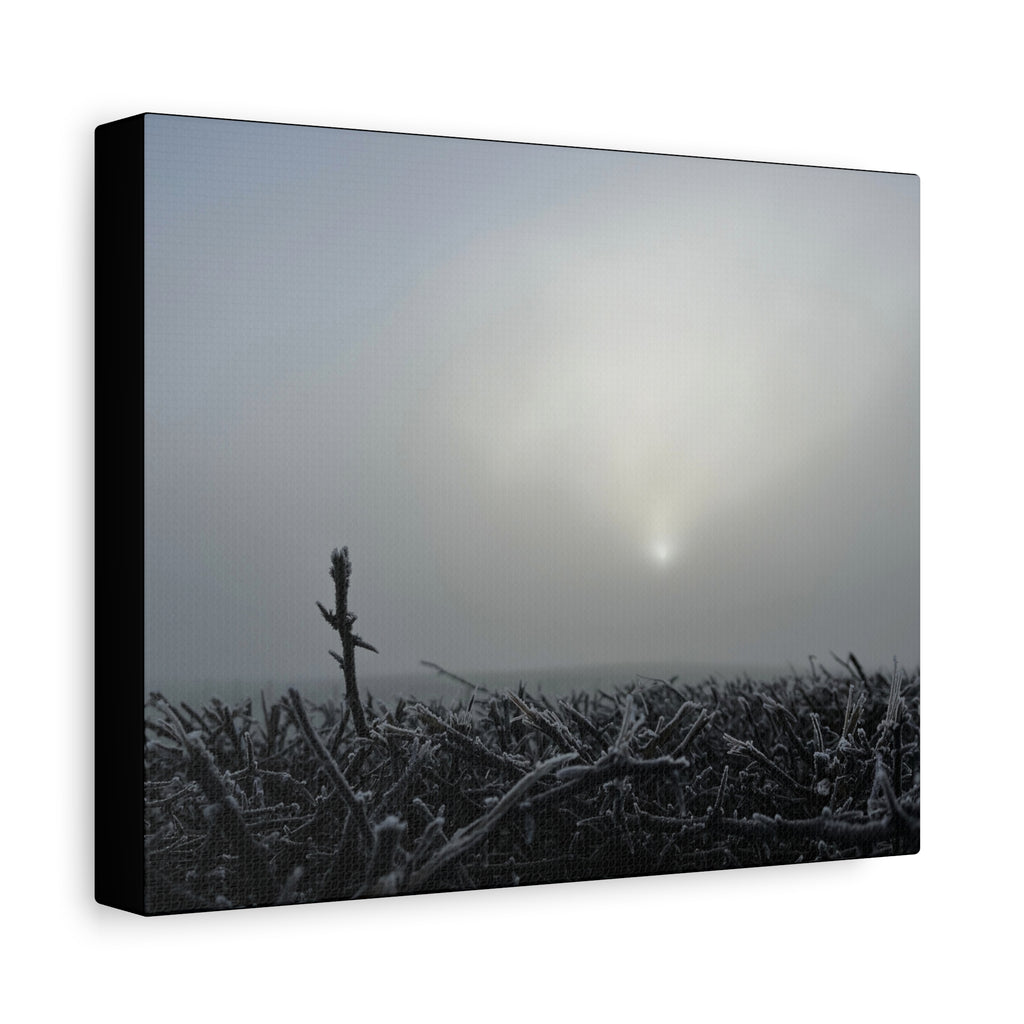 Foggy Sunrise Matte Canvas Wall Art – Moody Winter Landscape