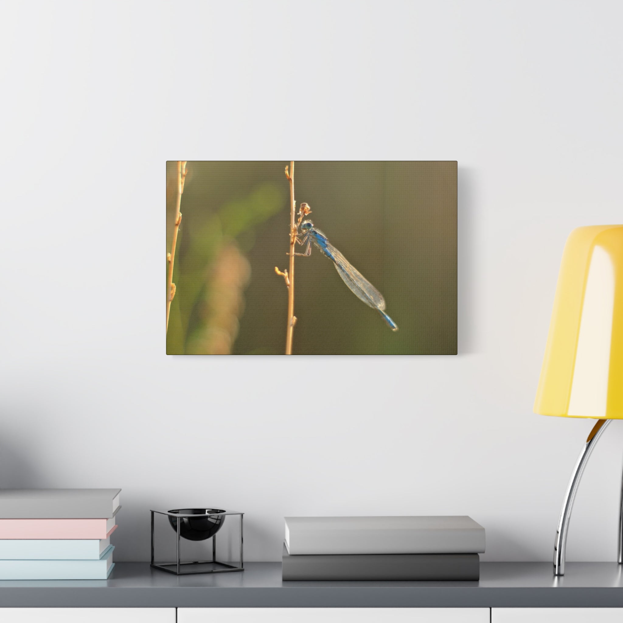 Blue Dragonfly Macro Canvas Print — Blue Damselfly Nature Wall Art, Matte Stretched 1.25"