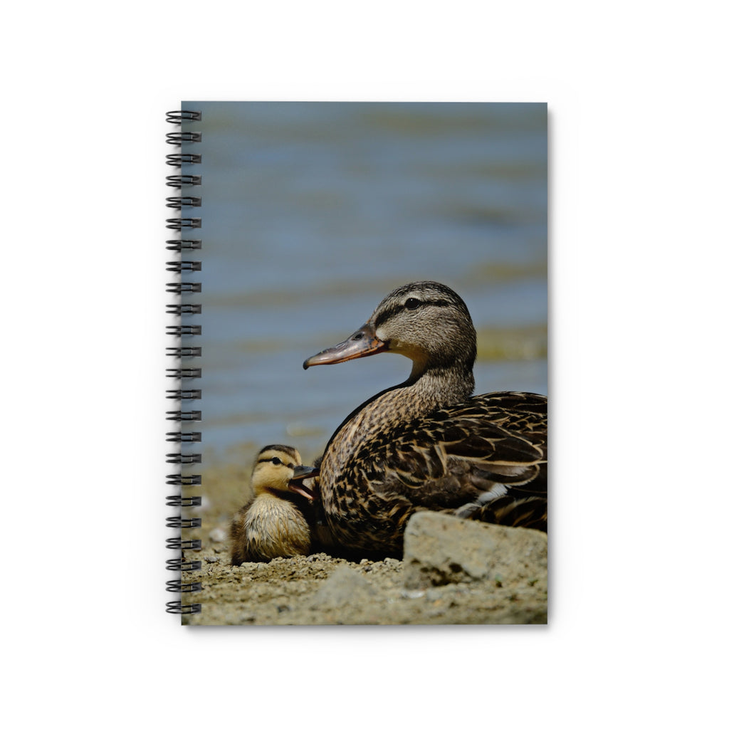 Duck & Duckling Spiral Notebook — Lined Journal for Nature Lovers