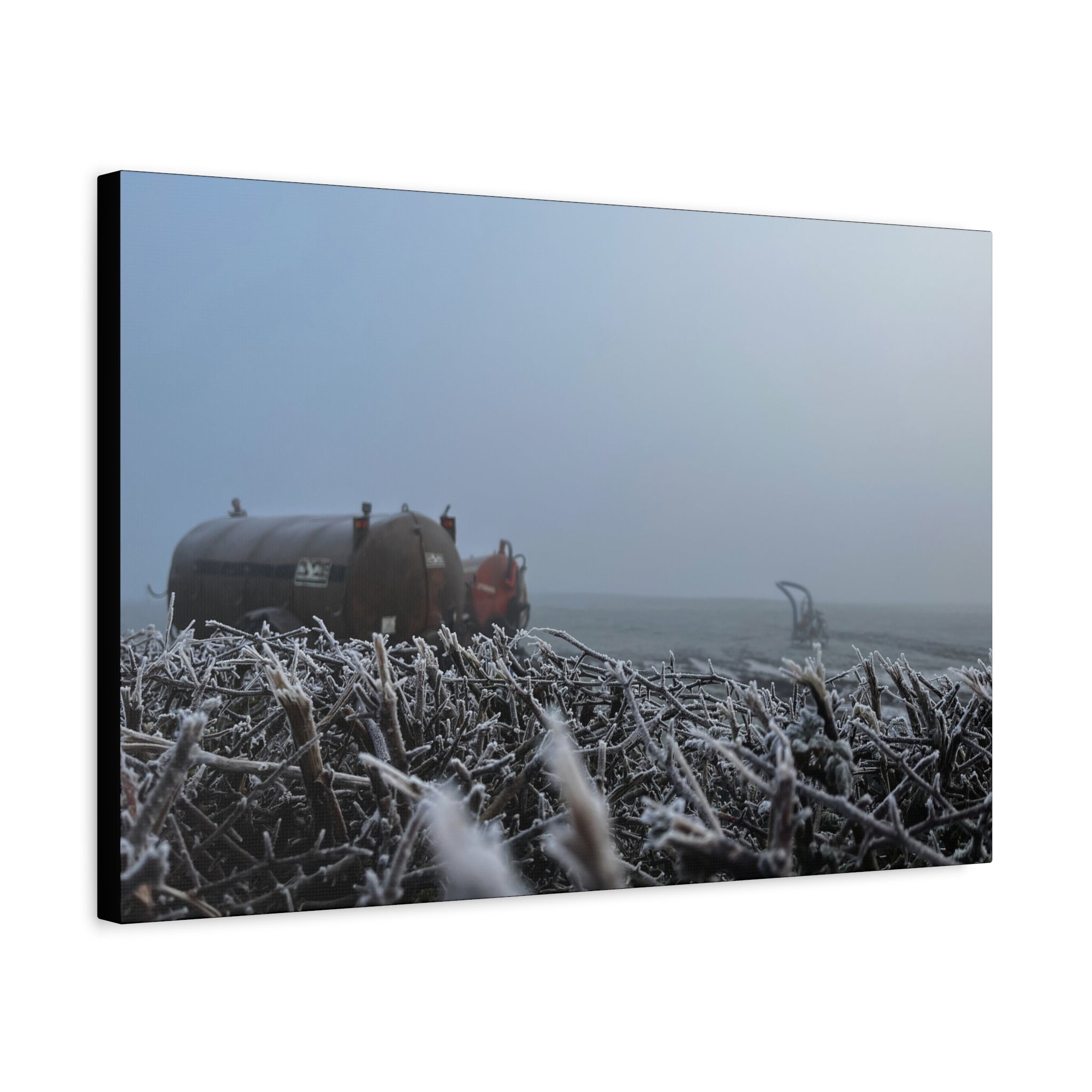 Irish Frost Farm Canvas Print — Foggy Shoreline with Frosted Driftwood