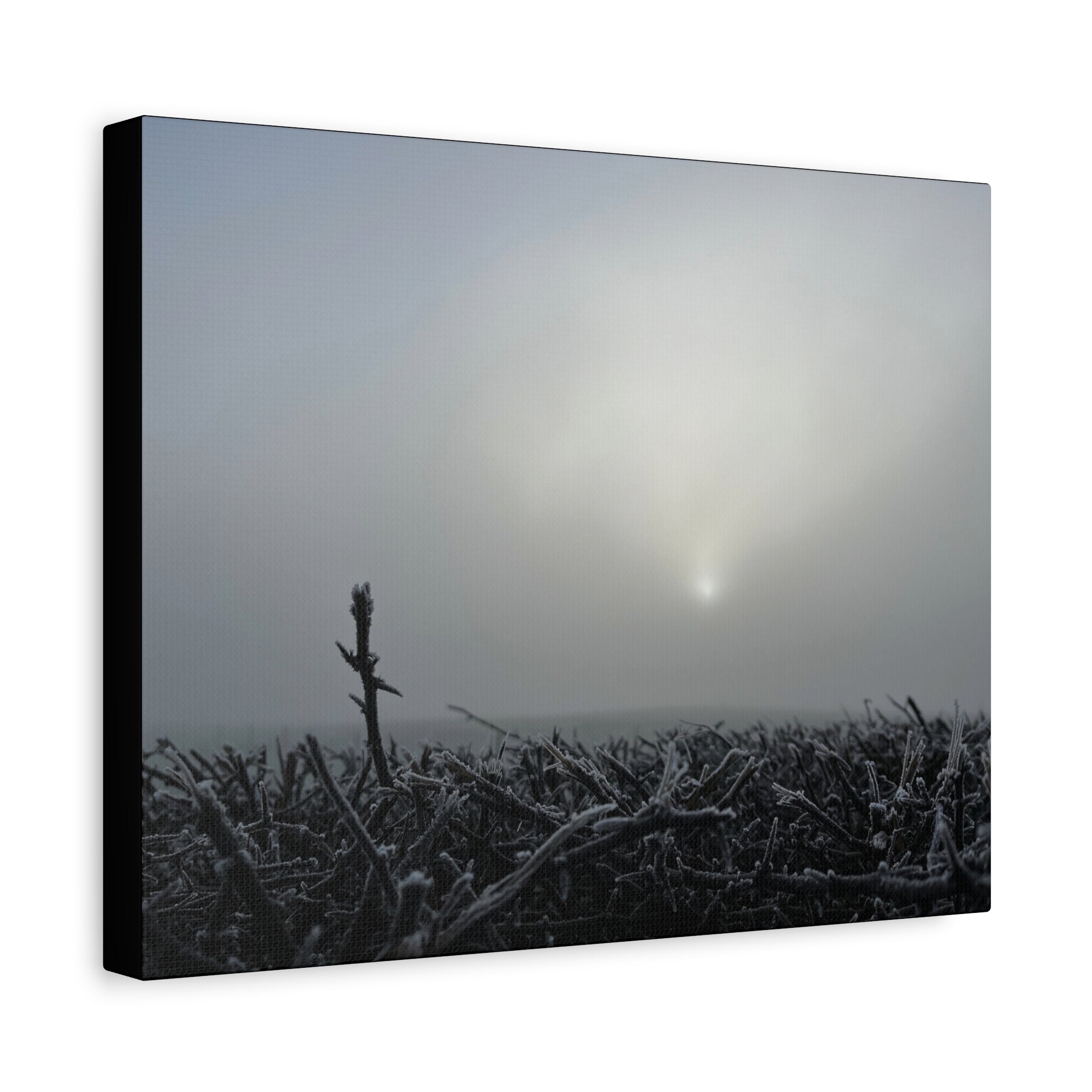 Foggy Sunrise Matte Canvas Wall Art – Moody Winter Landscape