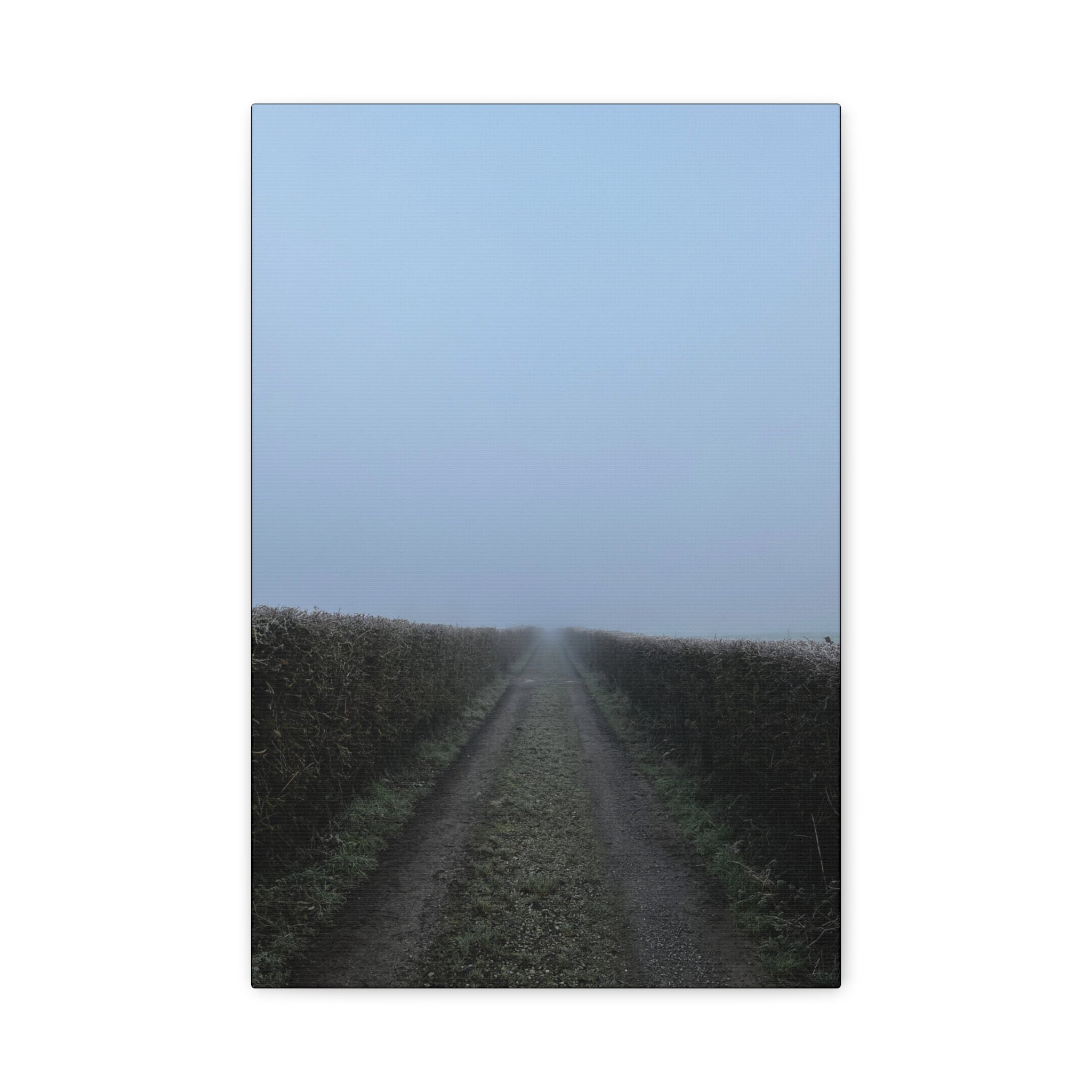 Foggy Country Lane Matte Canvas Wall Art — Stretched 1.25"