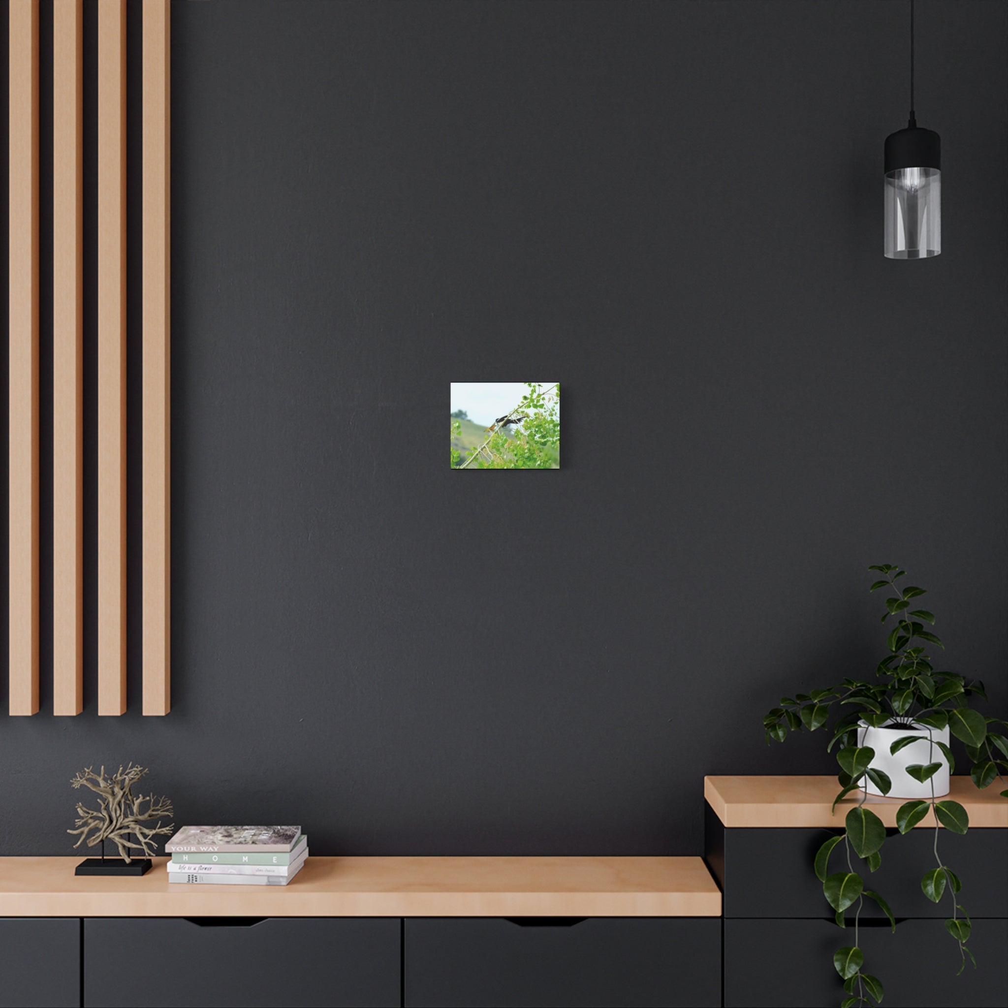 Oriole & Magpie Battle on an Aspen Branch - Matte Stretched Canvas Wall Art