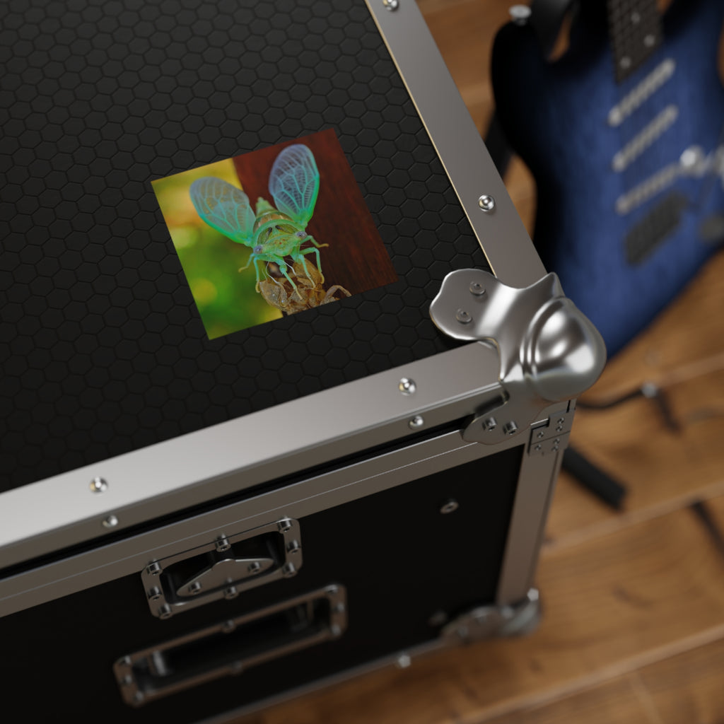 Cicada Square Sticker — Vivid Green Insect Photo Sticker (Indoor/Outdoor)