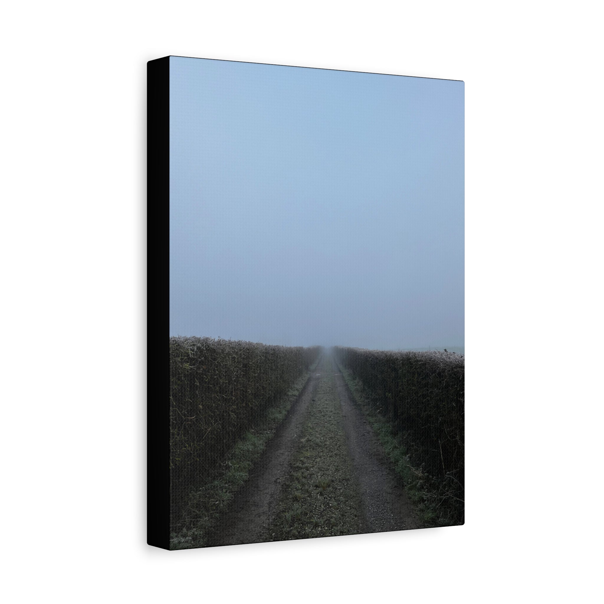 Foggy Country Lane Matte Canvas Wall Art — Stretched 1.25"