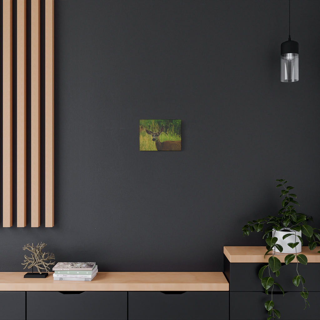 Doe Portrait Matte Canvas Wall Art