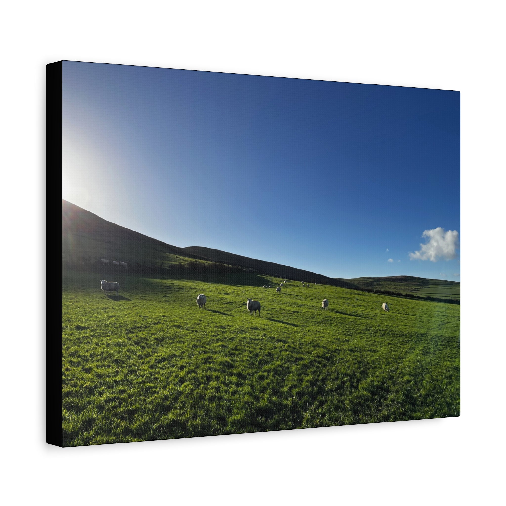 Irish sheep Pasture Canvas Print — Sheep Landscape Matte Stretched Wall Art