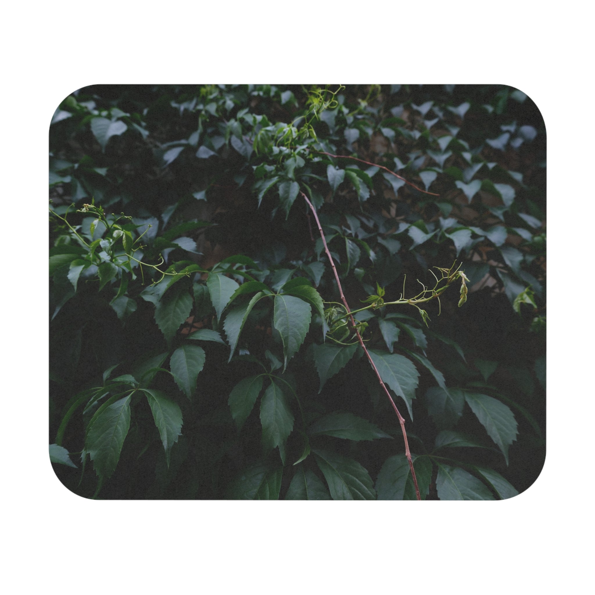 Vine Mouse Pad — Dark Green Leaf Desk Mat