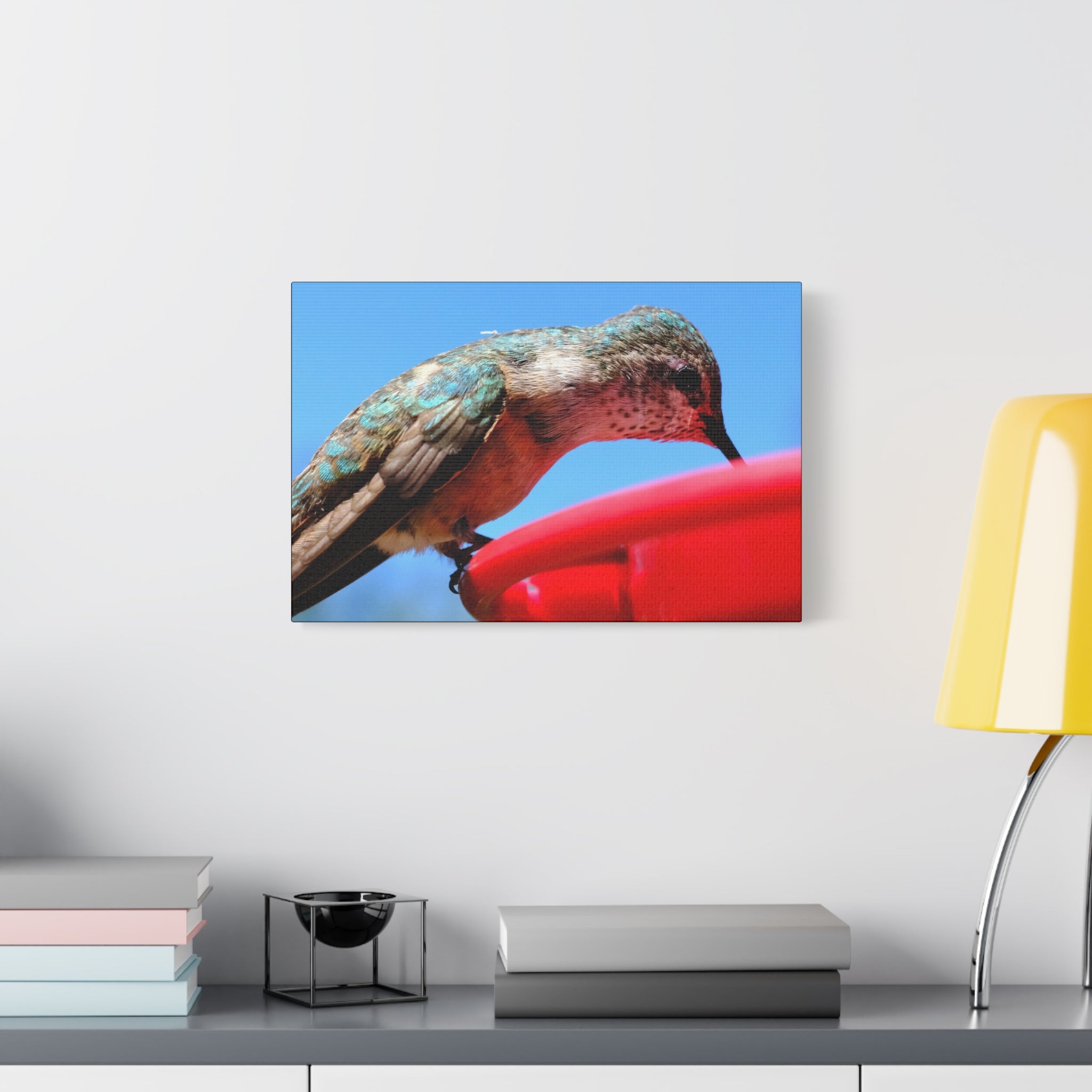 Hummingbird Close Up Canvas Print — Stretched Matte Wall Art