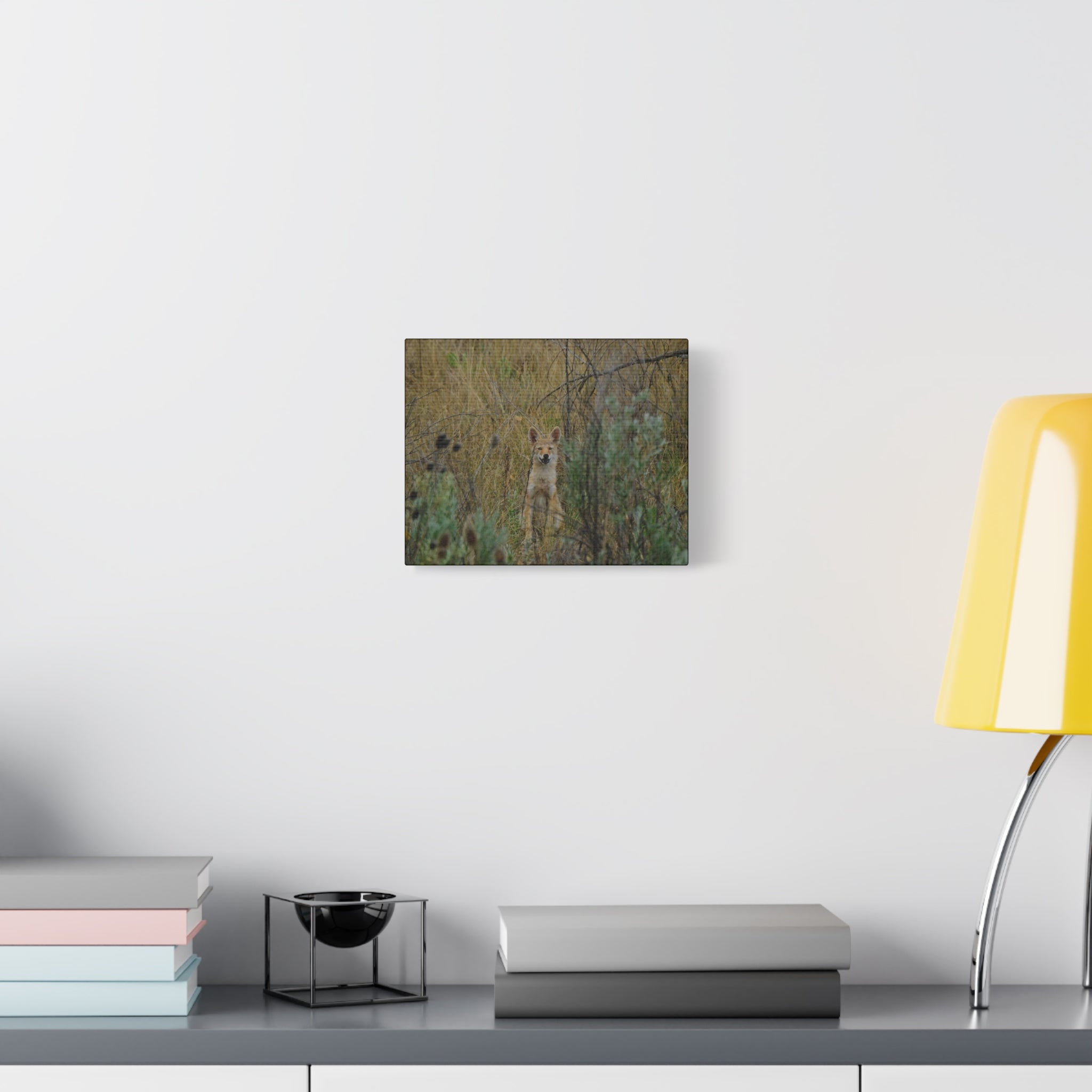 Friendly Face In The Wild - Coyote in Tall Grass Matte Canvas Wall Art