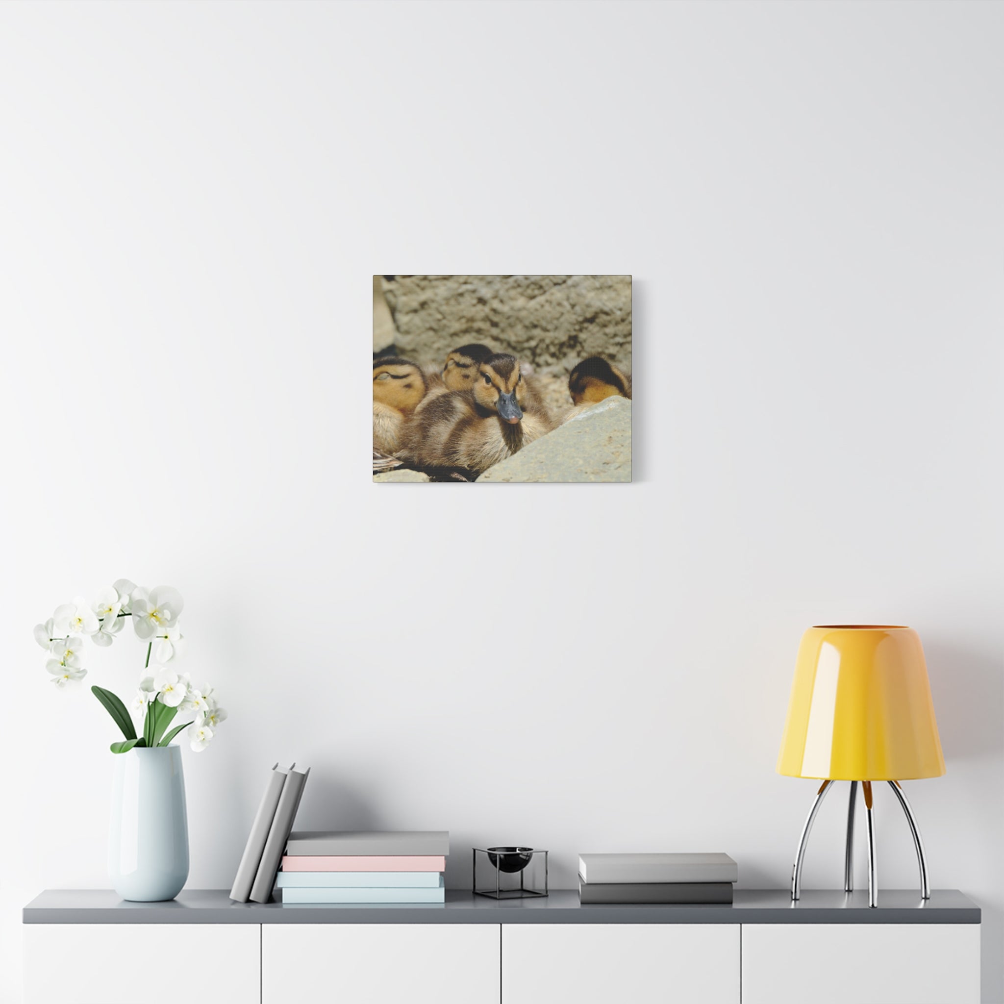 Duckling Canvas Print - Cute Baby Ducks Matte Stretched Wall Art