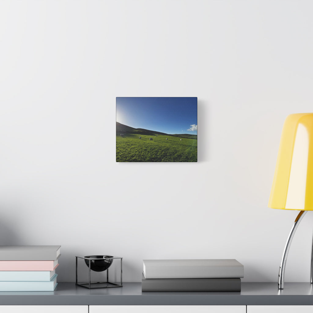 Irish sheep Pasture Canvas Print — Sheep Landscape Matte Stretched Wall Art