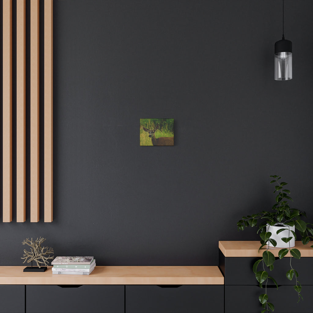 Doe Portrait Matte Canvas Wall Art
