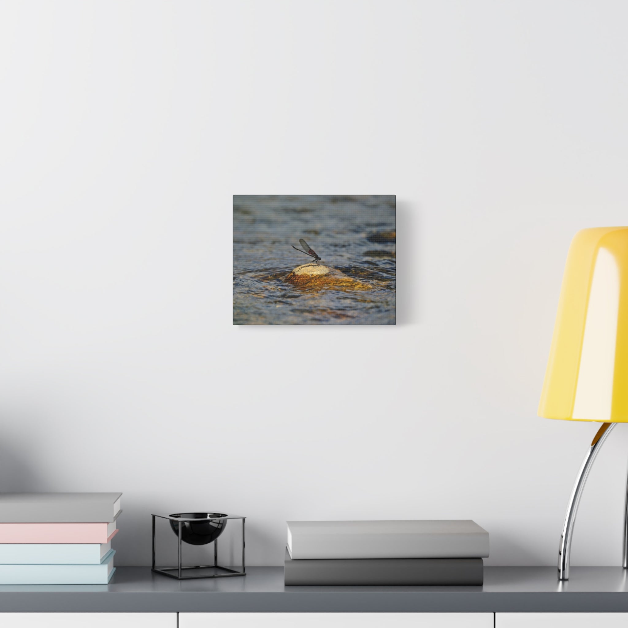 Damselfly on River Rock - Matte Canvas Print