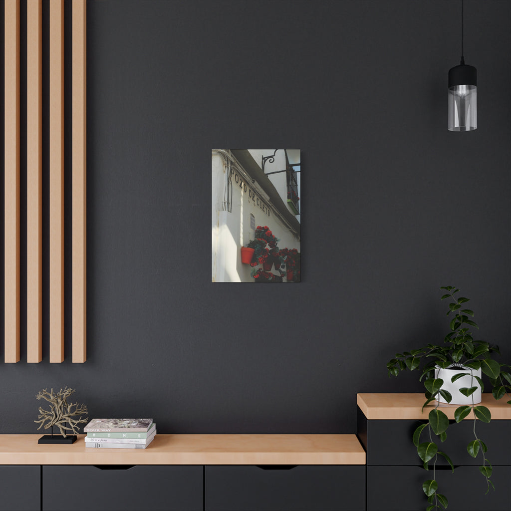 Spanish Street Flowers Canvas Print — 'Pozo de Cueto' Wall Art