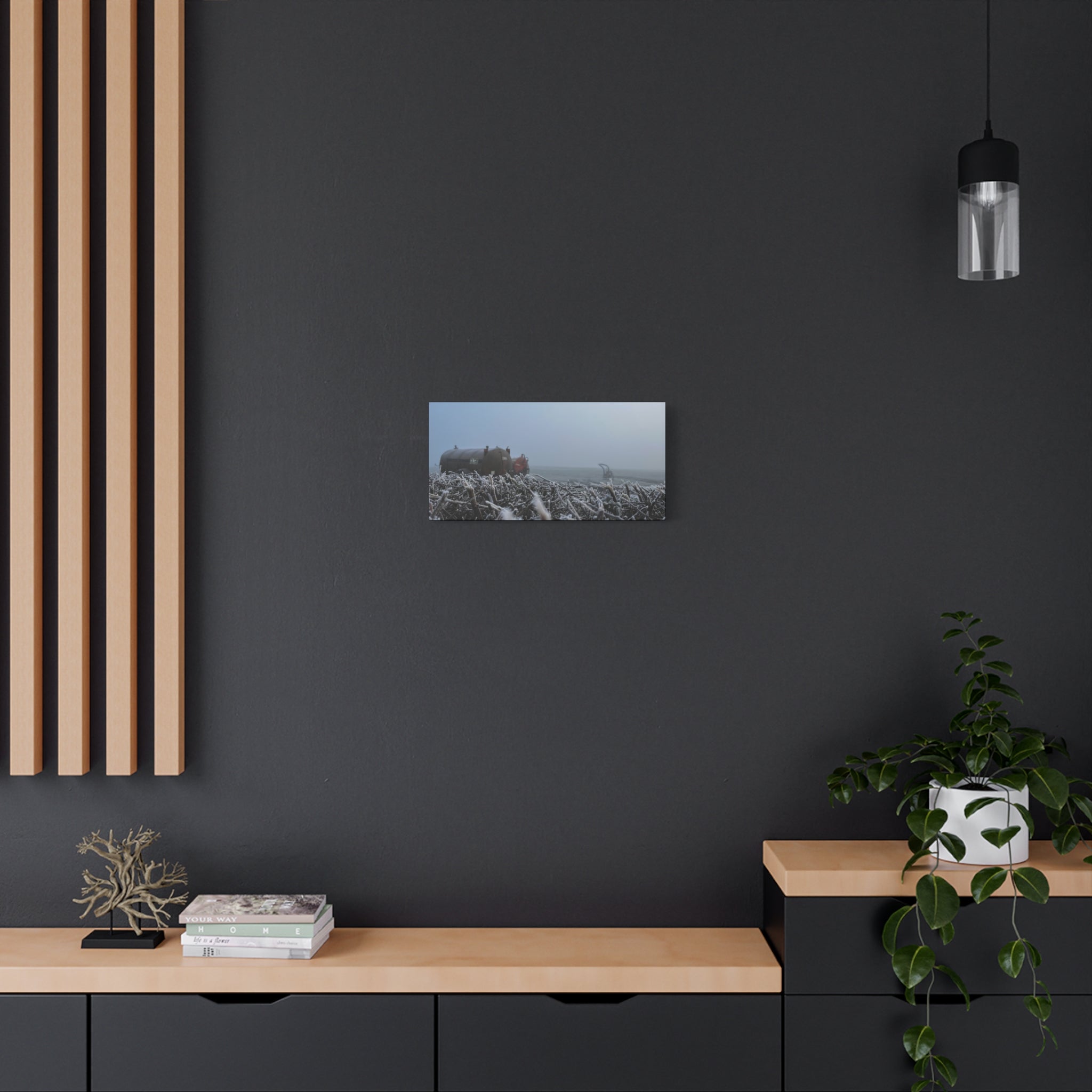 Irish Frost Farm Canvas Print — Foggy Shoreline with Frosted Driftwood