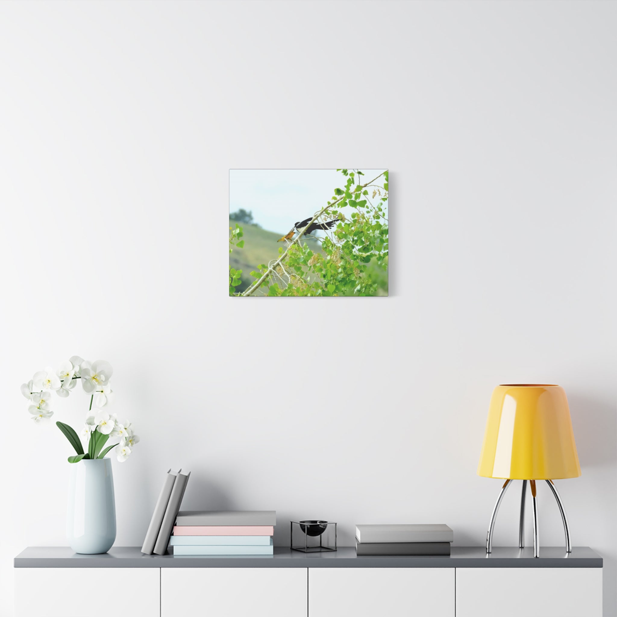 Oriole & Magpie Battle on an Aspen Branch - Matte Stretched Canvas Wall Art
