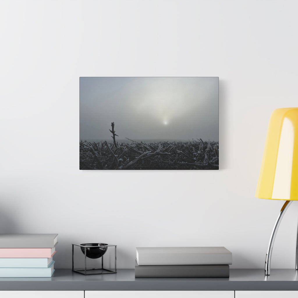 Foggy Sunrise Matte Canvas Wall Art – Moody Winter Landscape