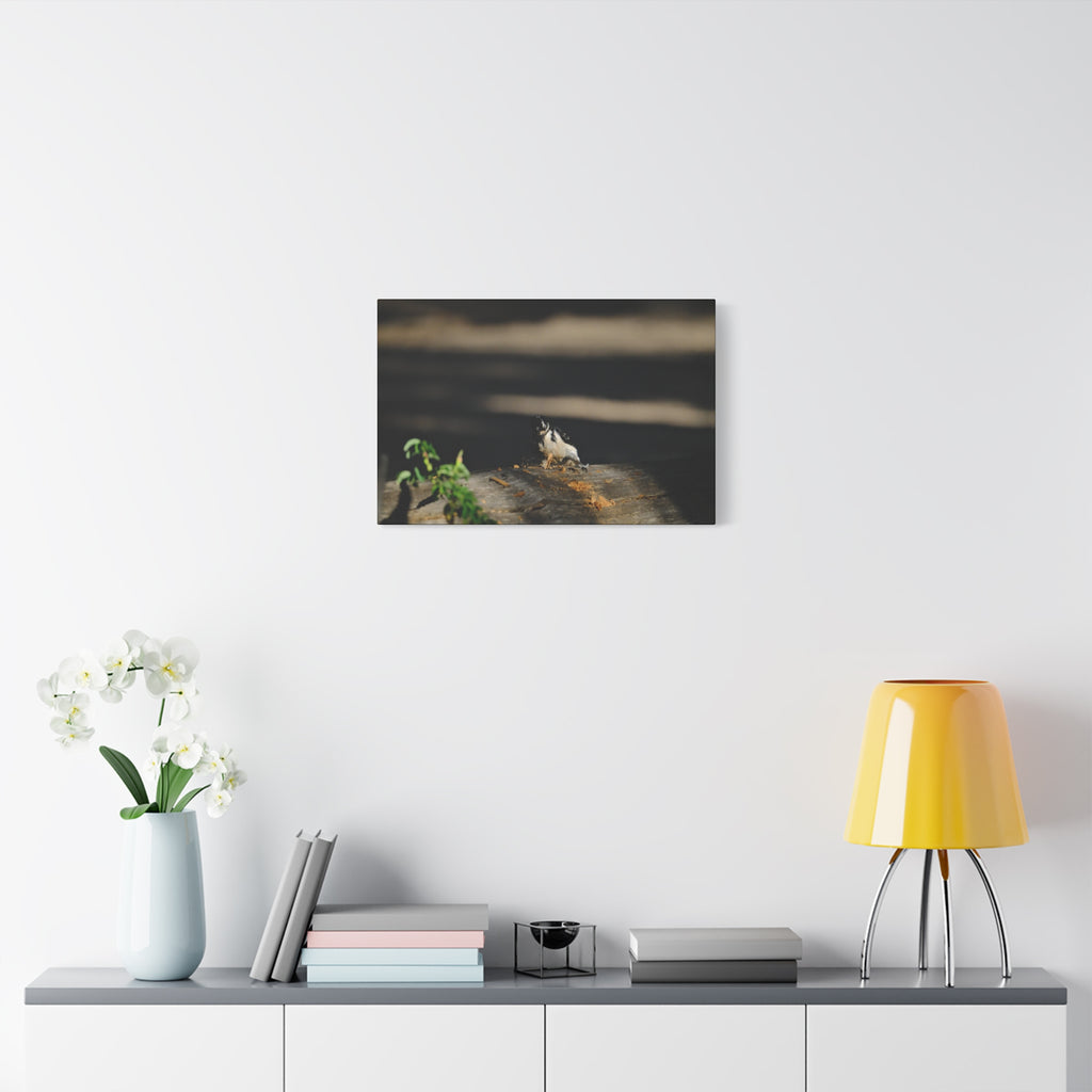 American Three-toed Woodpecker Hard At Work Canvas Wall Art