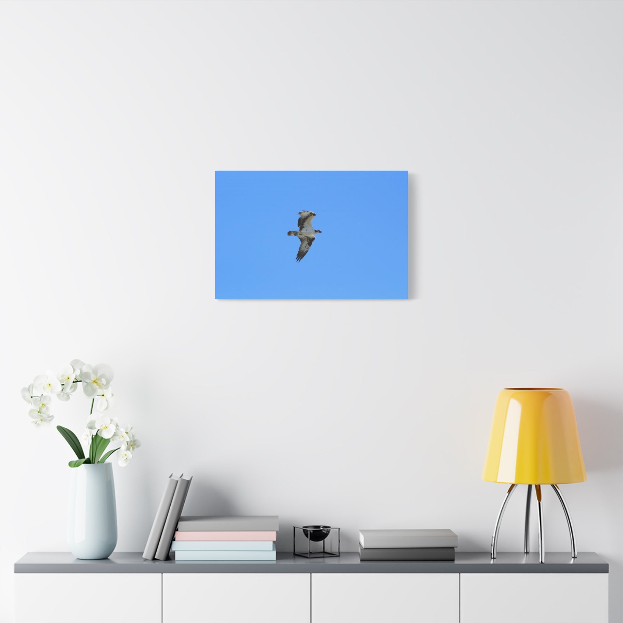 Osprey in Flight Matte Canvas Print — Stretched Wall Art