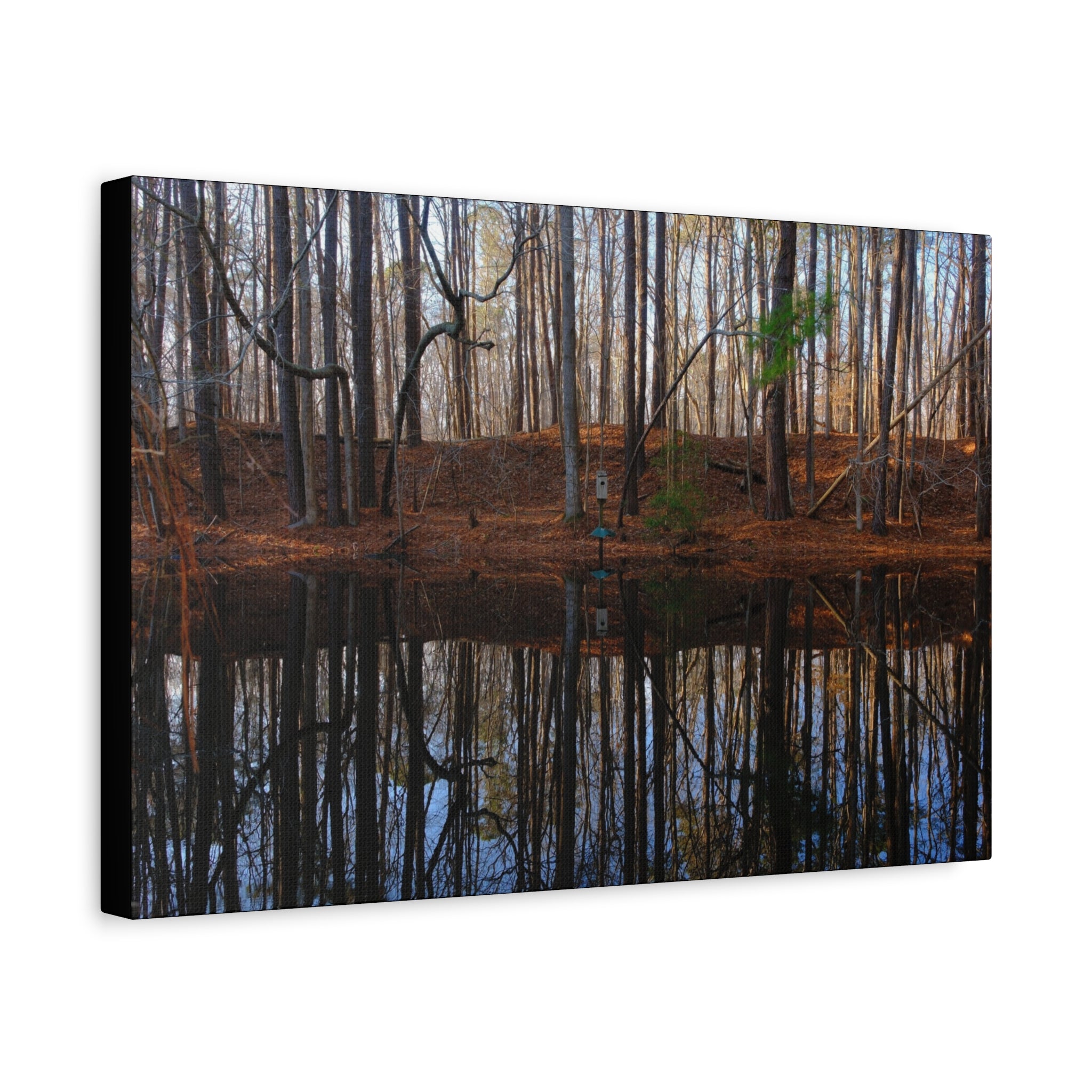 Woodland Reflection Matte Canvas Art – Stretched 1.25" Wall Decor