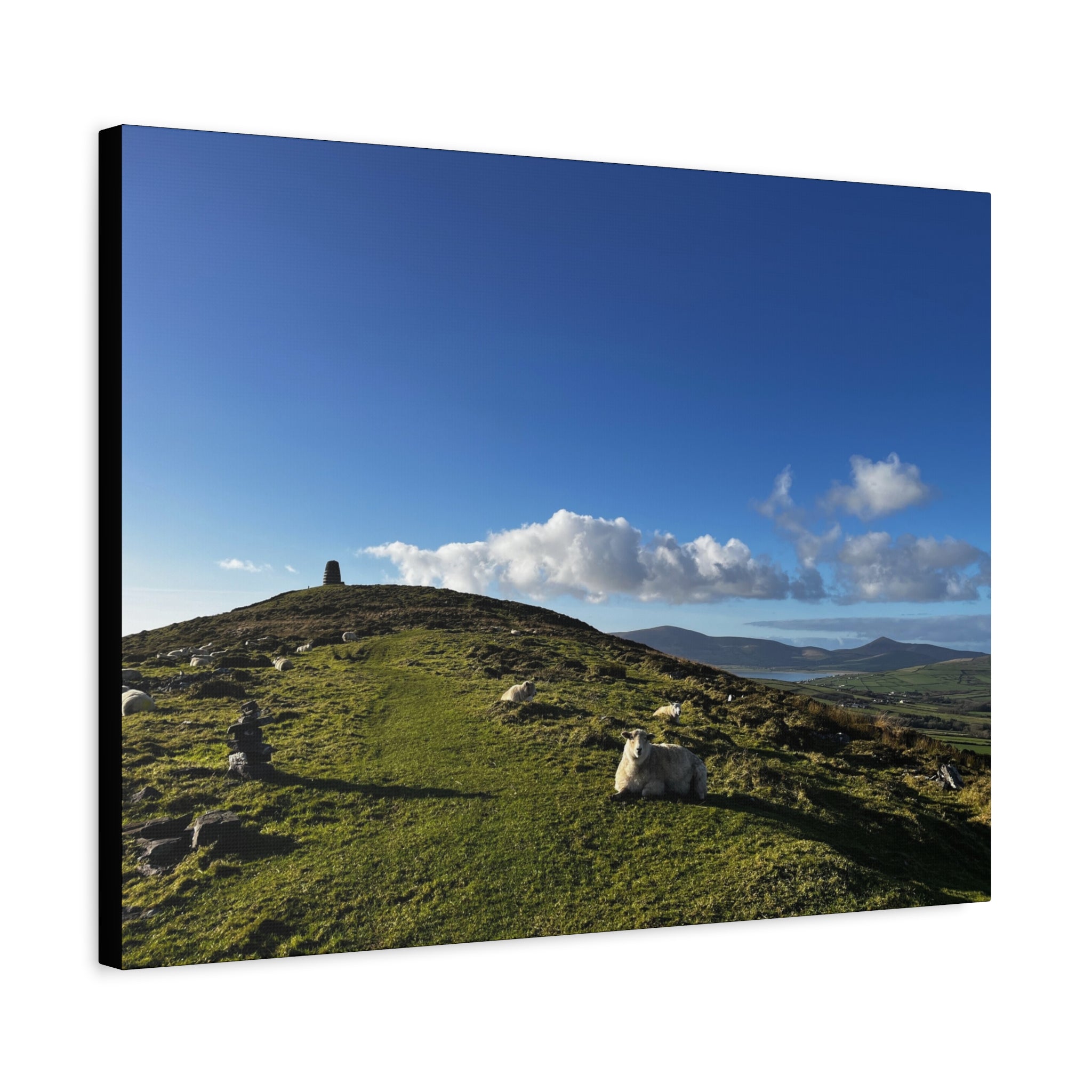Sheep Lookout Canvas Print – Rolling Green Hills with Blue Sky