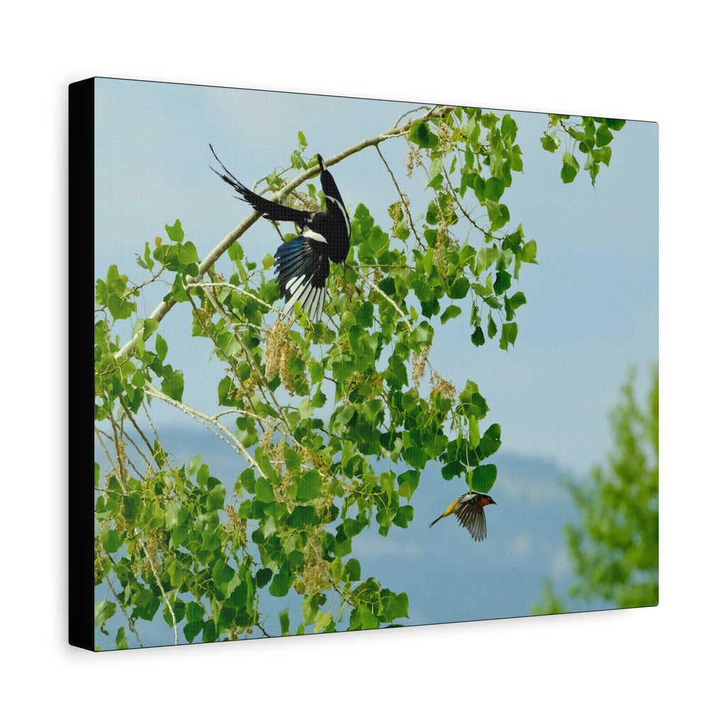 Birds in Flight Matte Canvas Wall Art — Spring Tree Branch Nature Print