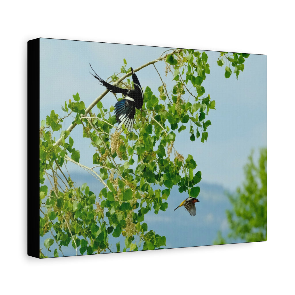 Birds in Flight Matte Canvas Wall Art — Spring Tree Branch Nature Print