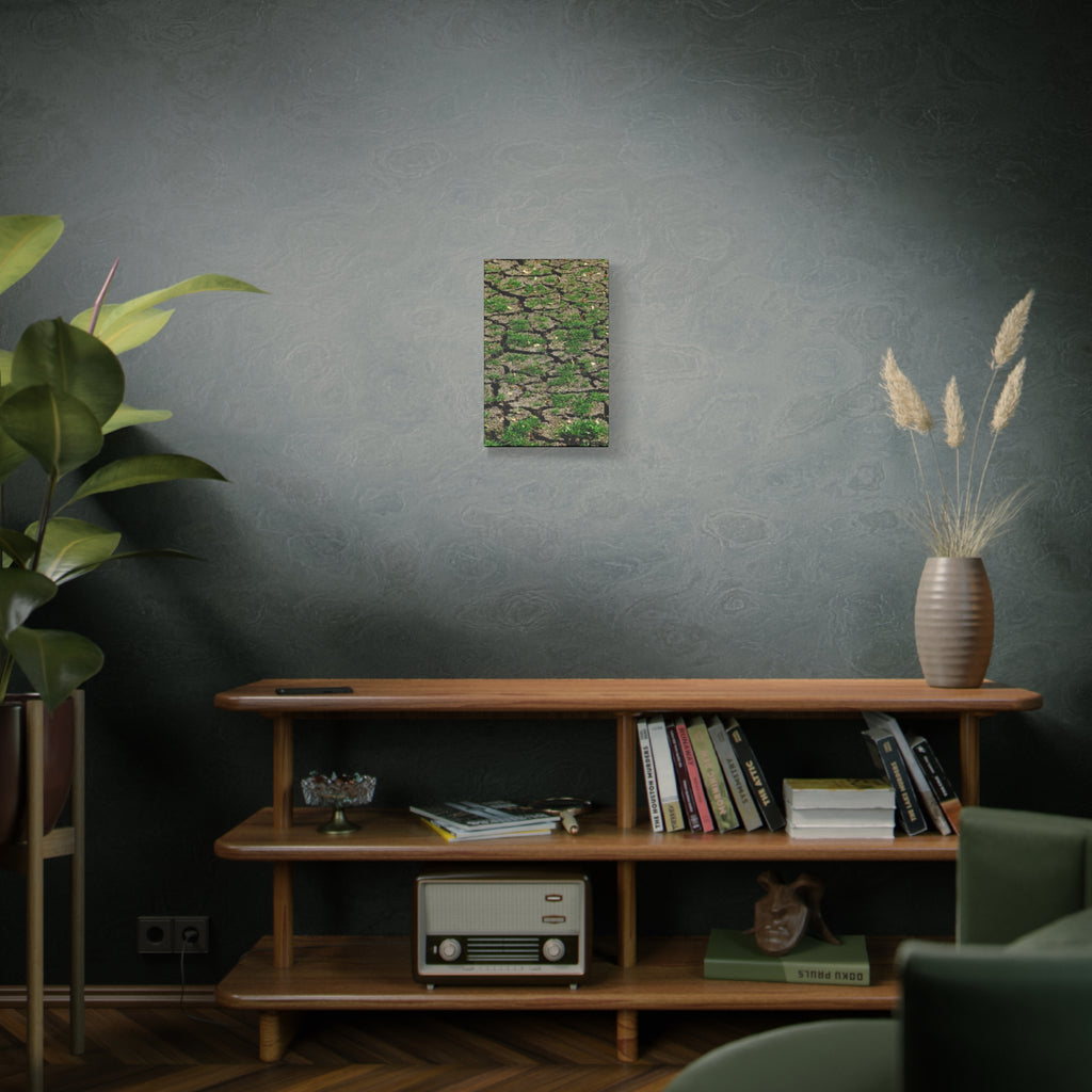 Life Finds A Way Canvas Print — Cracked Earth with Green Grass Matte Stretched Canvas (1.25")