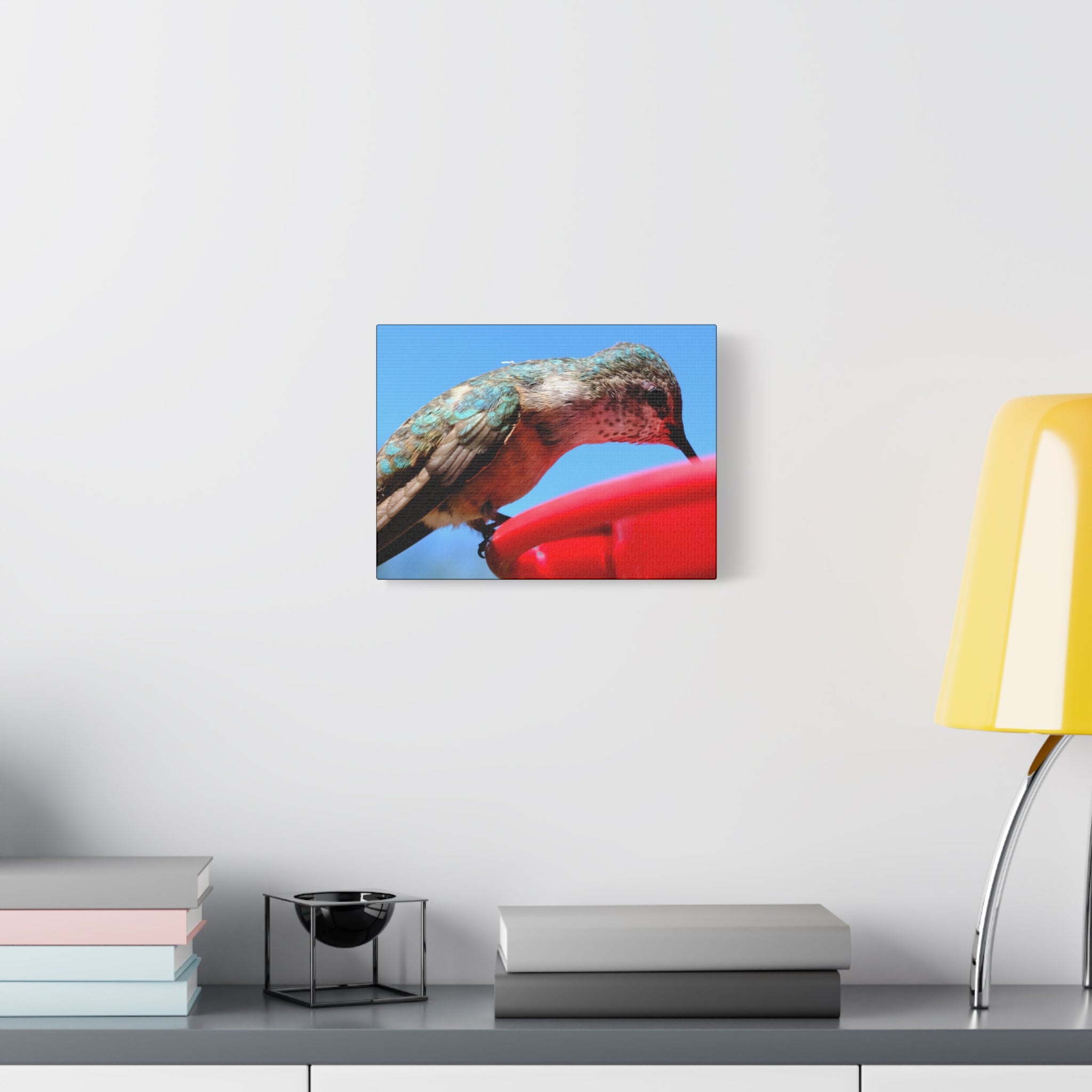 Hummingbird Close Up Canvas Print — Stretched Matte Wall Art