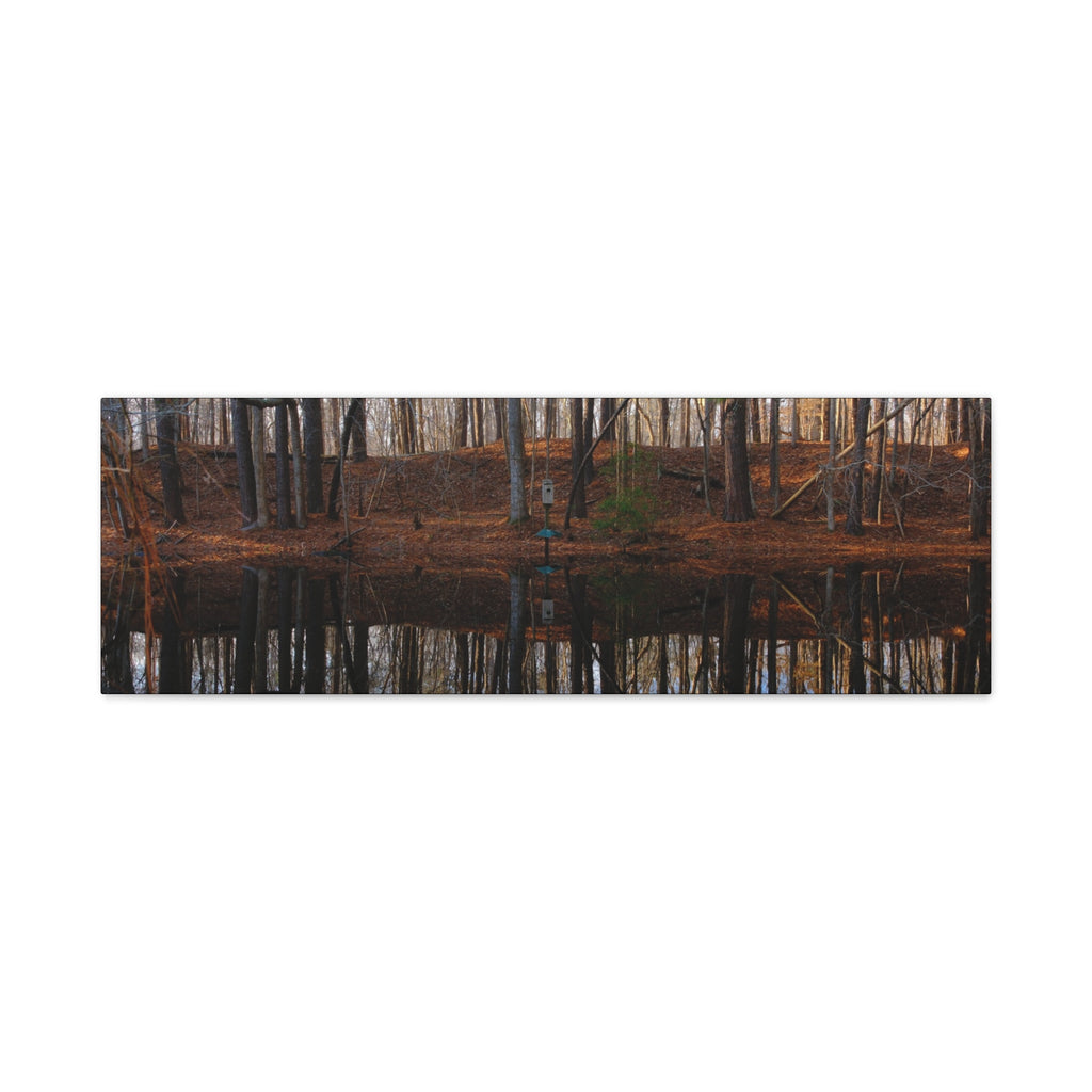 Woodland Reflection Matte Canvas Art – Stretched 1.25" Wall Decor
