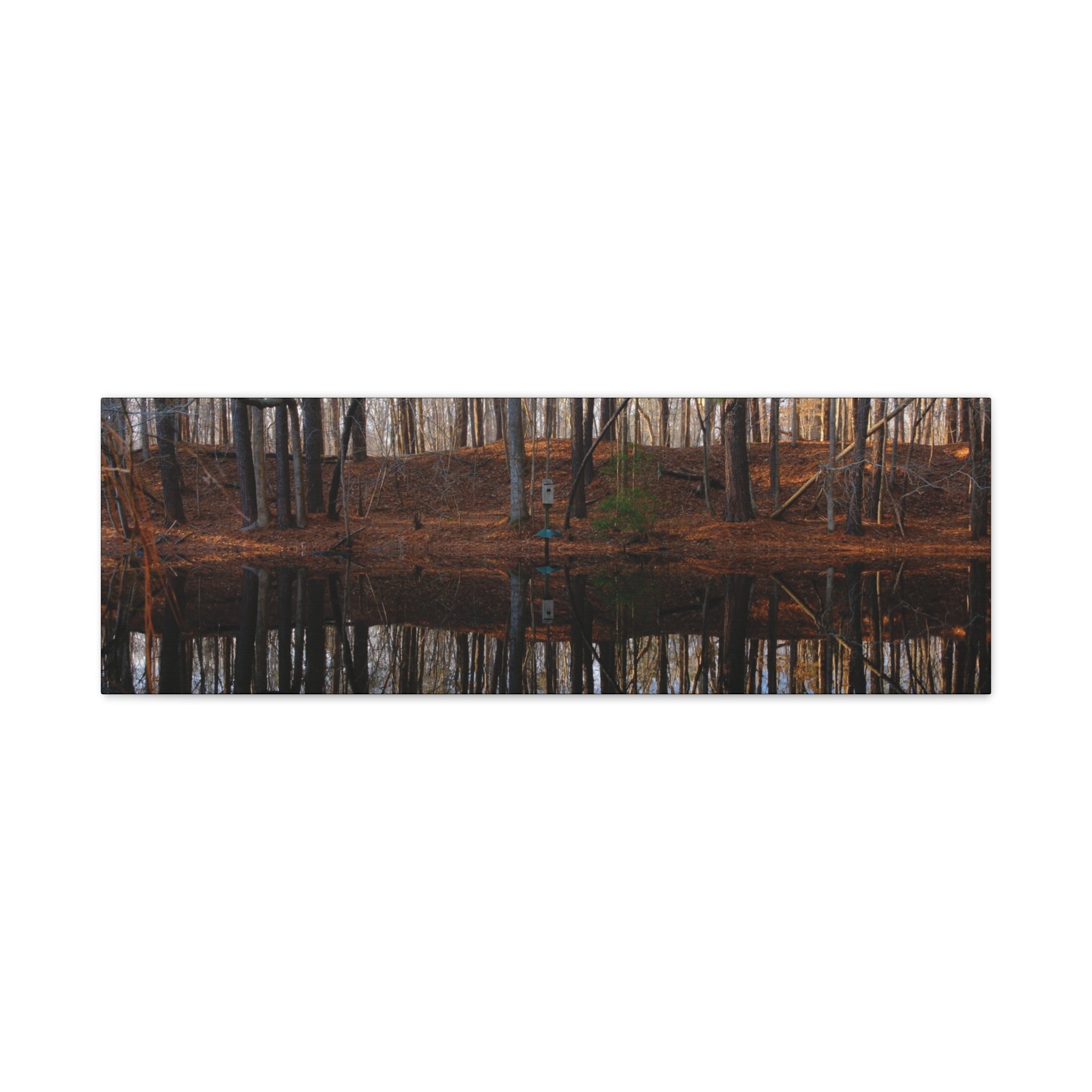 Woodland Reflection Matte Canvas Art – Stretched 1.25" Wall Decor