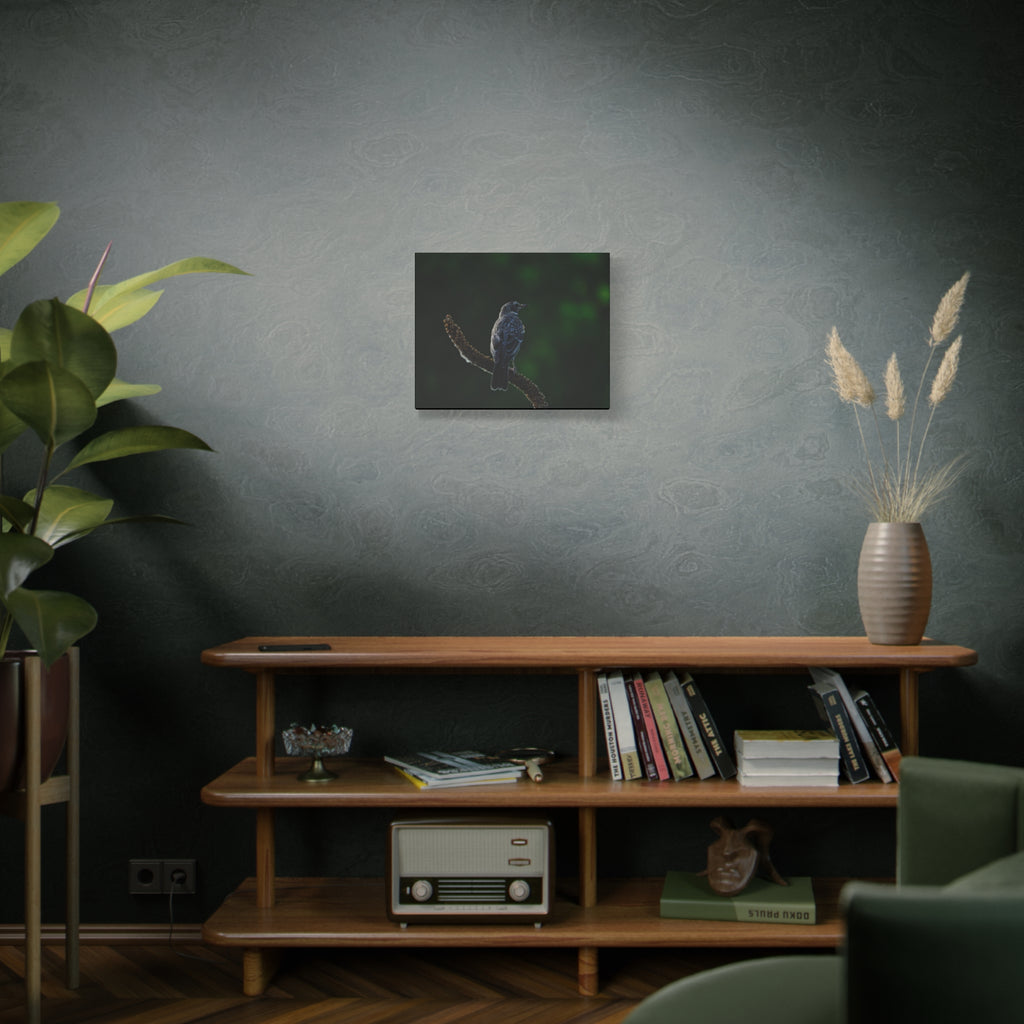 Robin on Branch Matte Canvas Wall Art — Moody Nature Photography Print