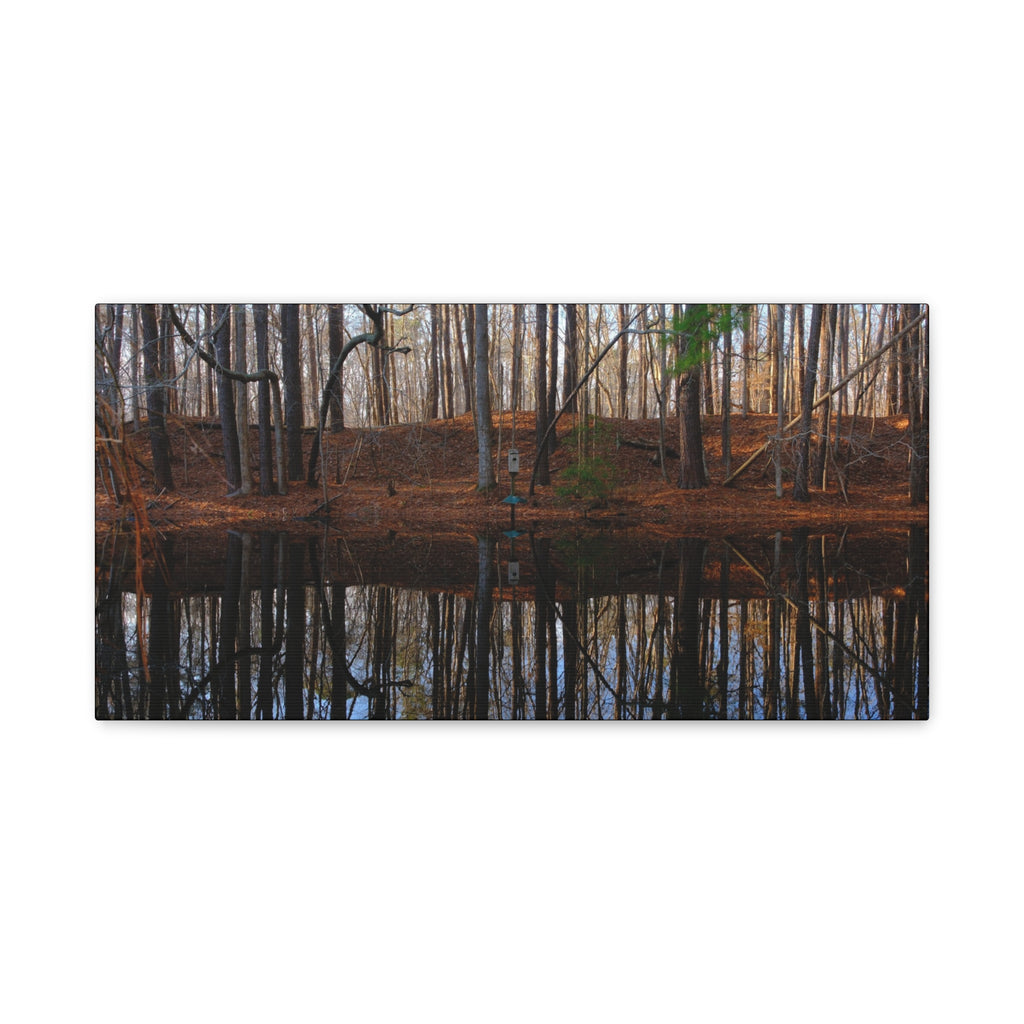 Woodland Reflection Matte Canvas Art – Stretched 1.25" Wall Decor