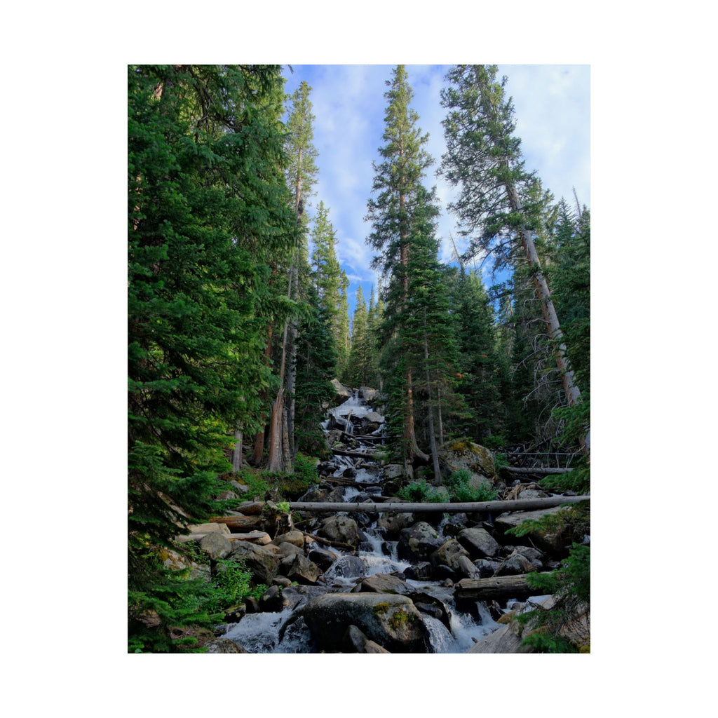 Mountain Stream Forest Matte Poster — Vertical Nature Wall Art