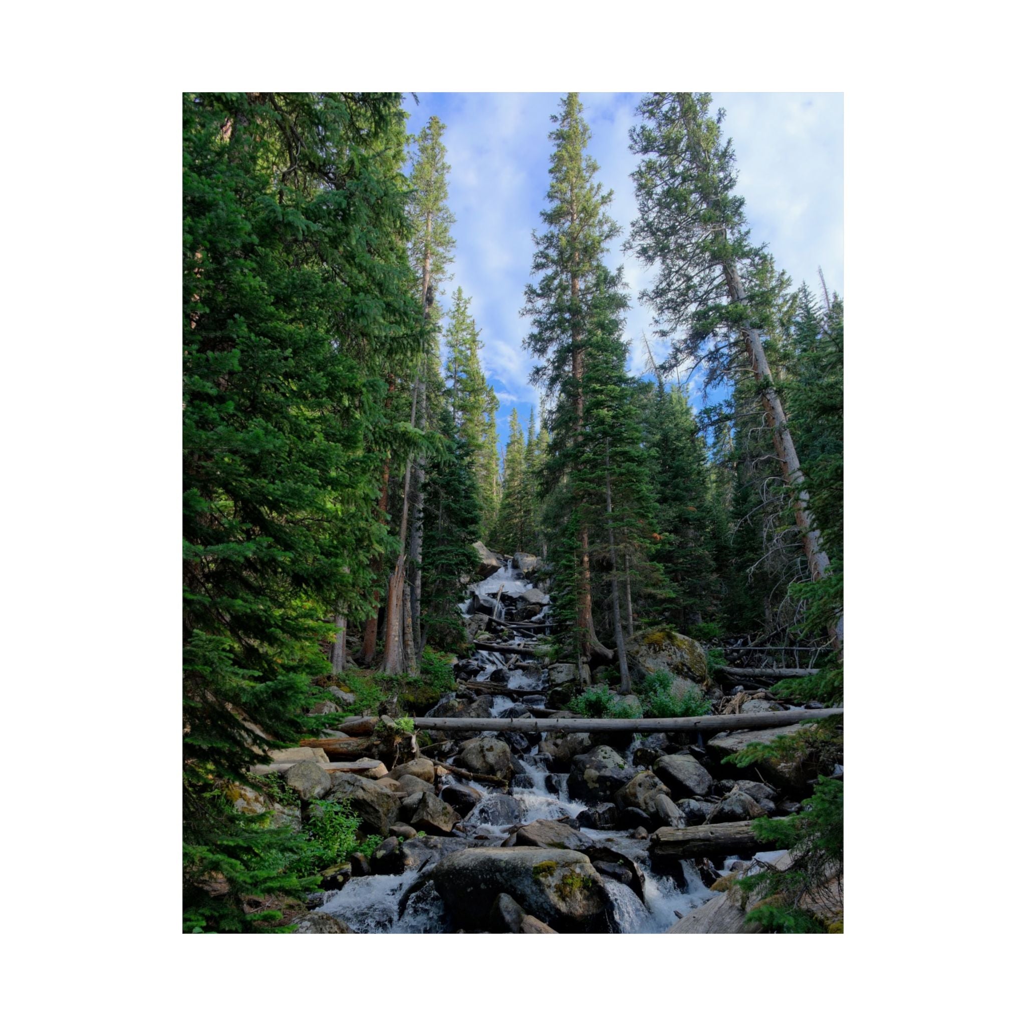Mountain Stream Forest Matte Poster — Vertical Nature Wall Art