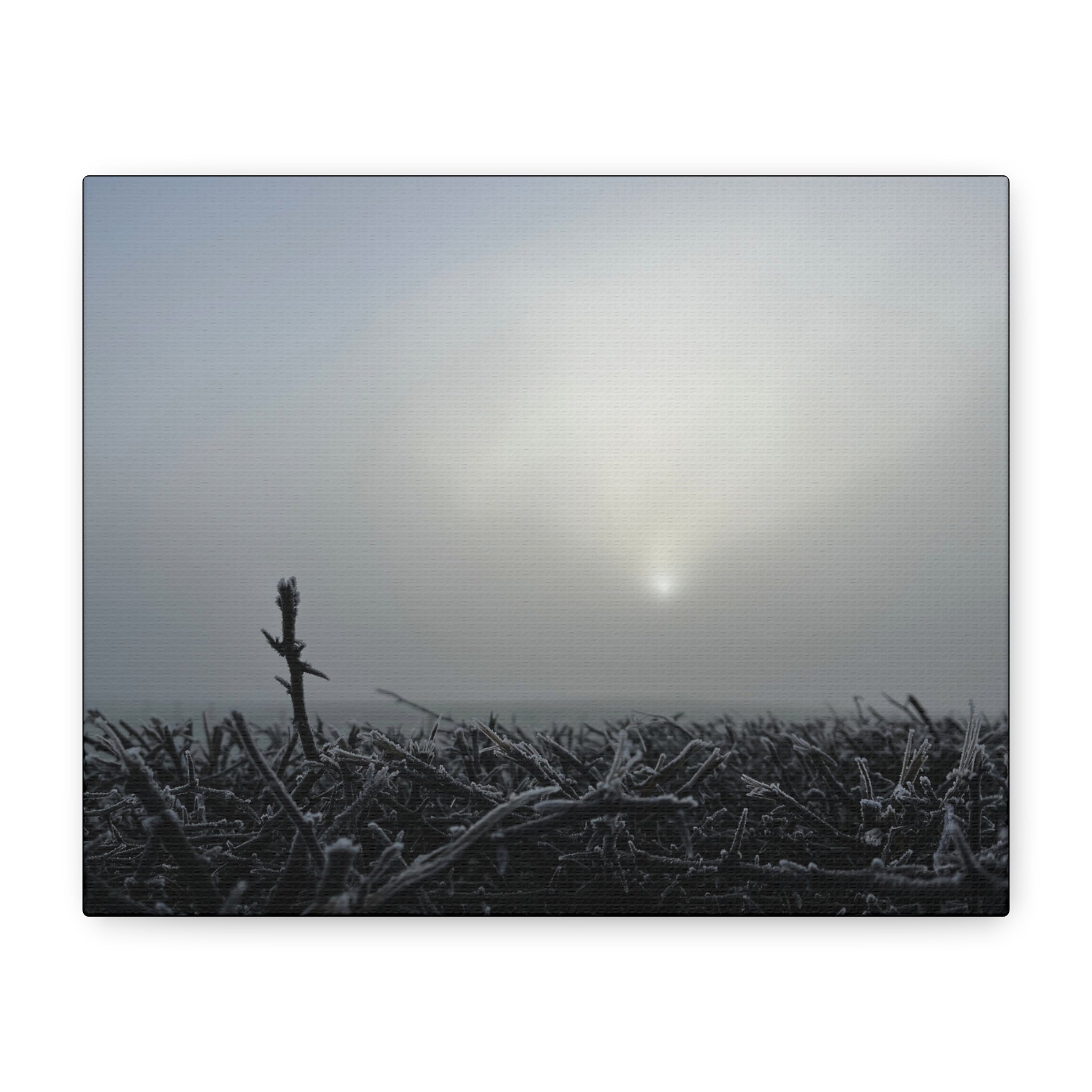 Foggy Sunrise Matte Canvas Wall Art – Moody Winter Landscape