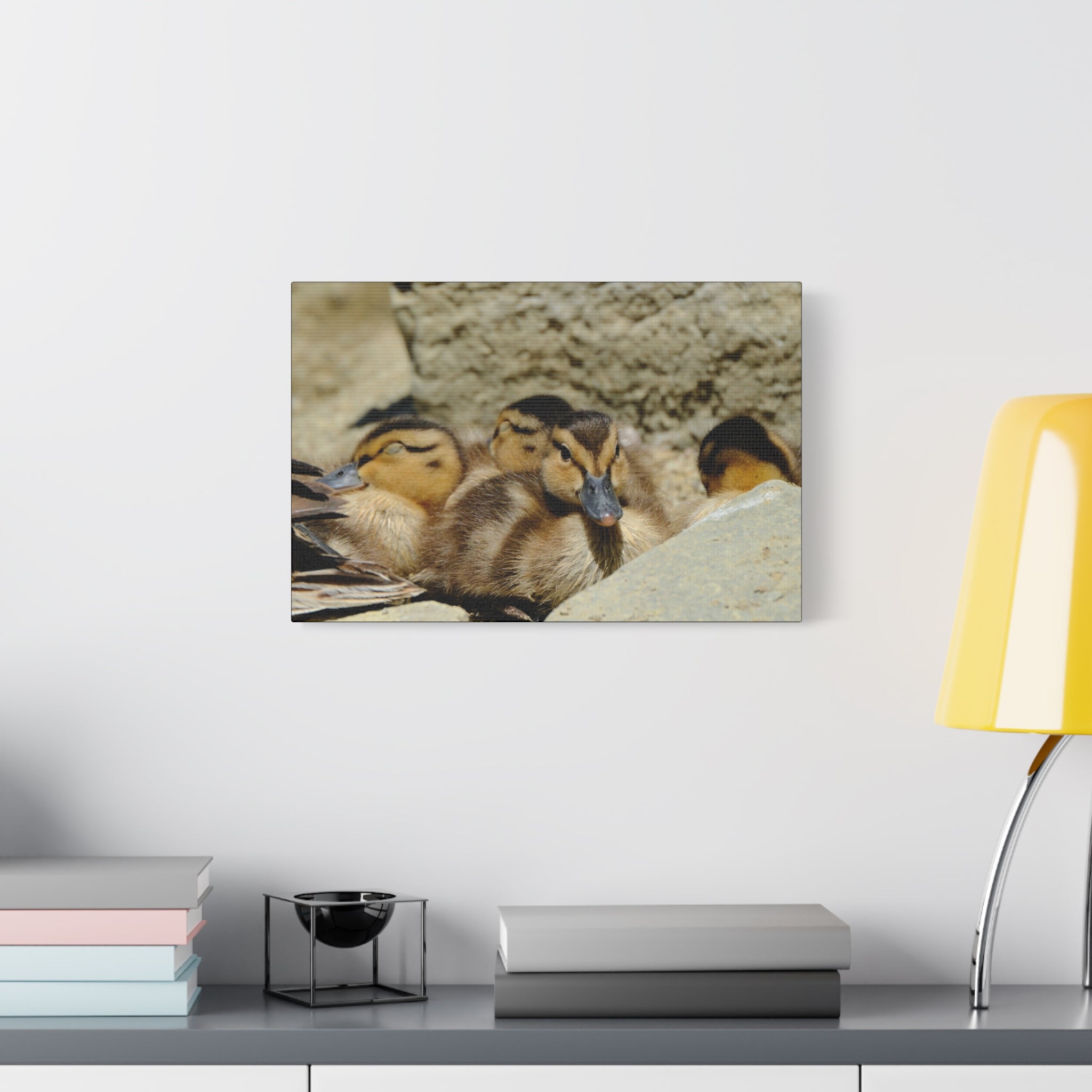 Duckling Canvas Print - Cute Baby Ducks Matte Stretched Wall Art