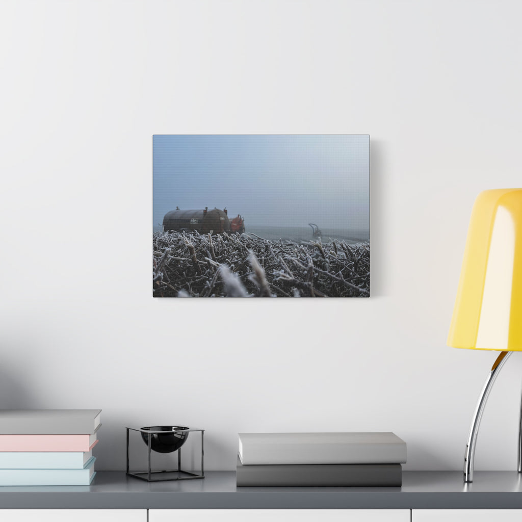 Irish Frost Farm Canvas Print — Foggy Shoreline with Frosted Driftwood